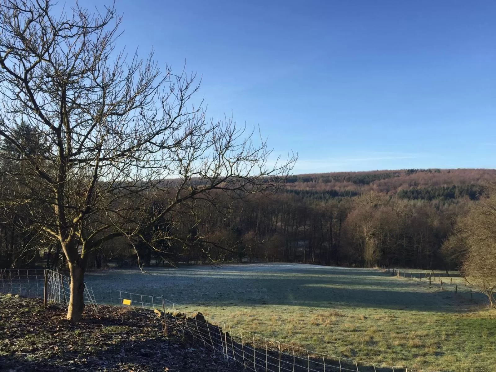 Natural landscape in kleinHOTEL Steinau-Rabenstein GbR