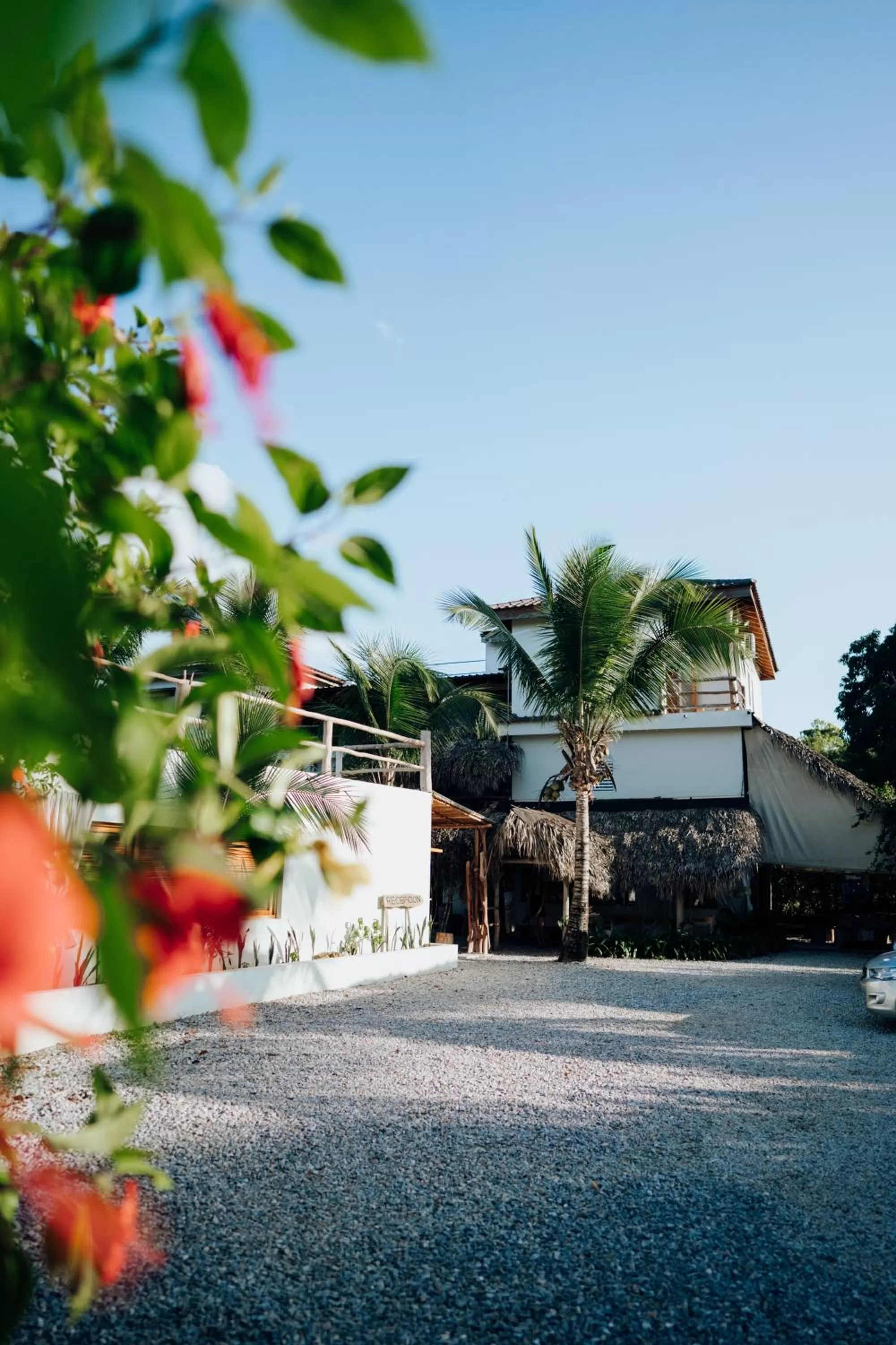 Property building in Residencia El Balatà