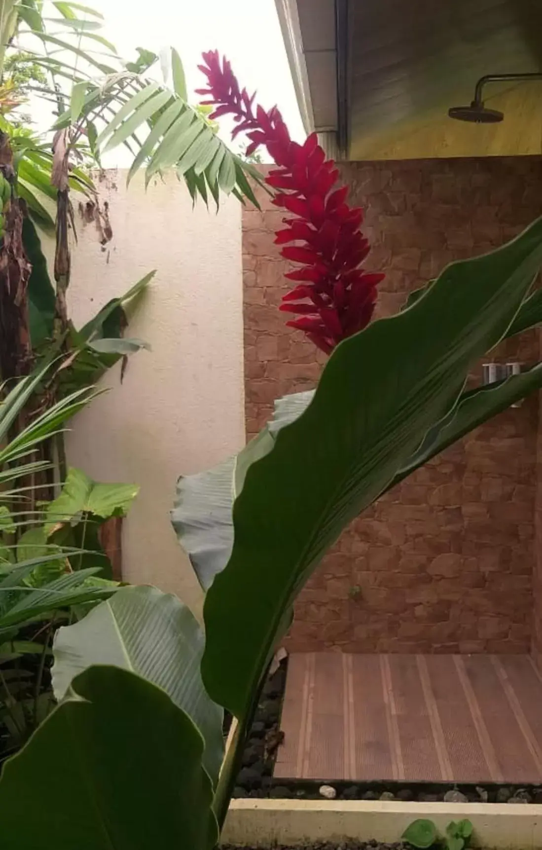 Shower in Tropical Suites & Villas