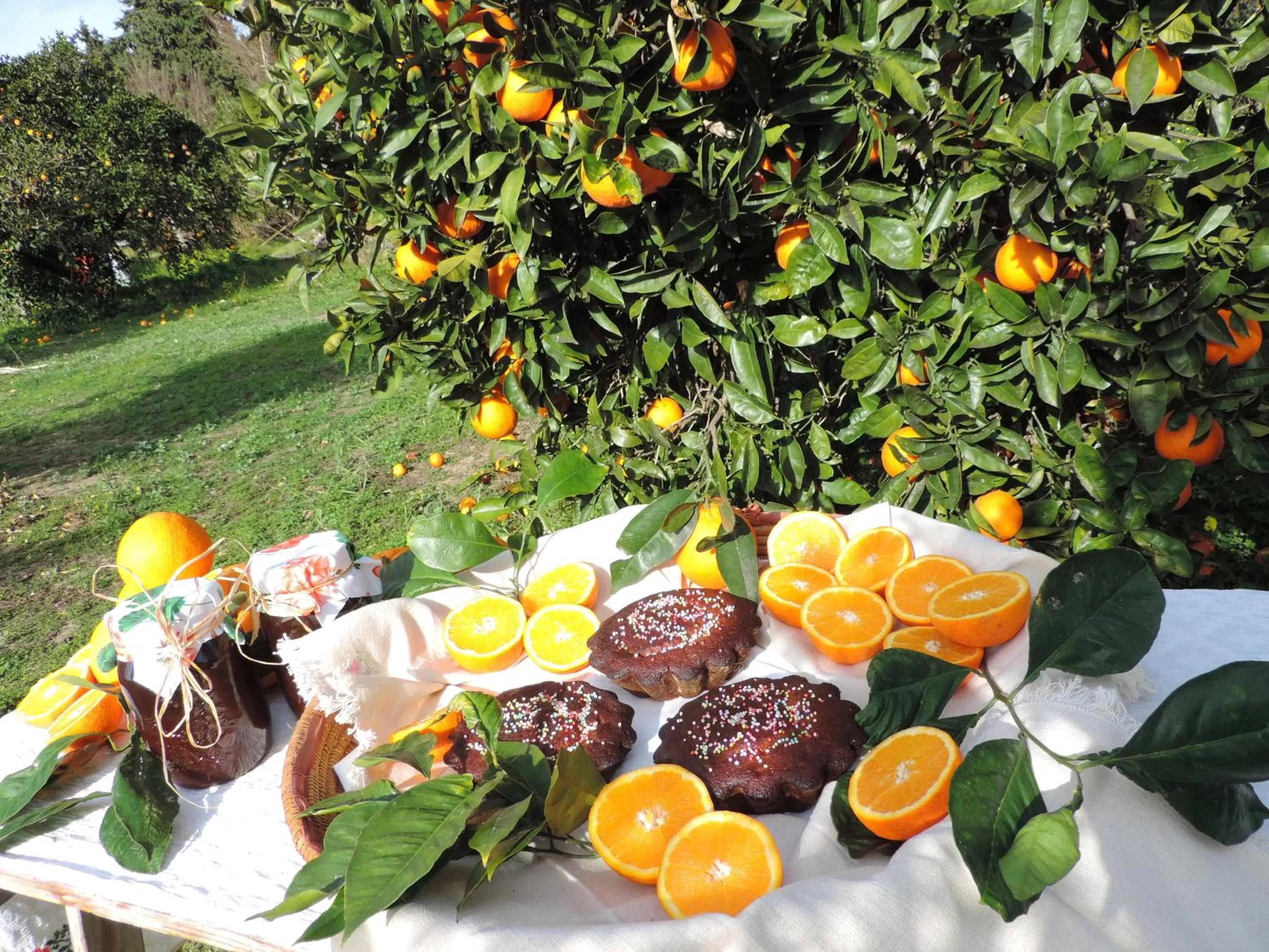 Property building in Hotel Domu Incantada