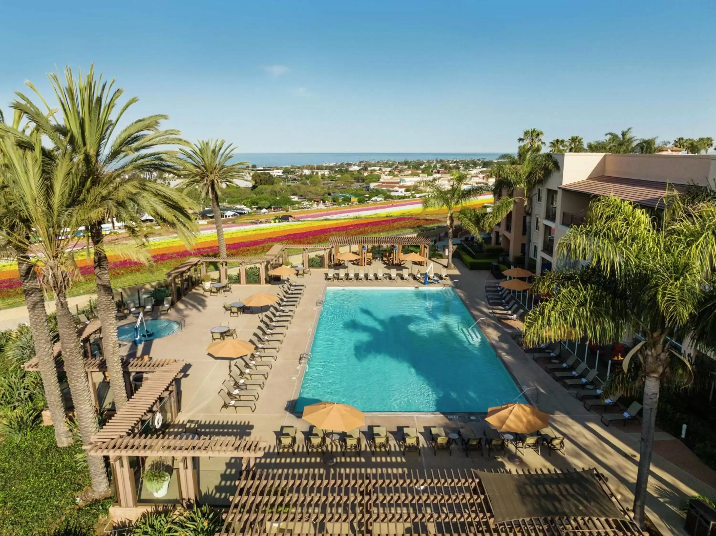 Swimming pool, Pool View in The Cassara Carlsbad, Tapestry Collection By Hilton