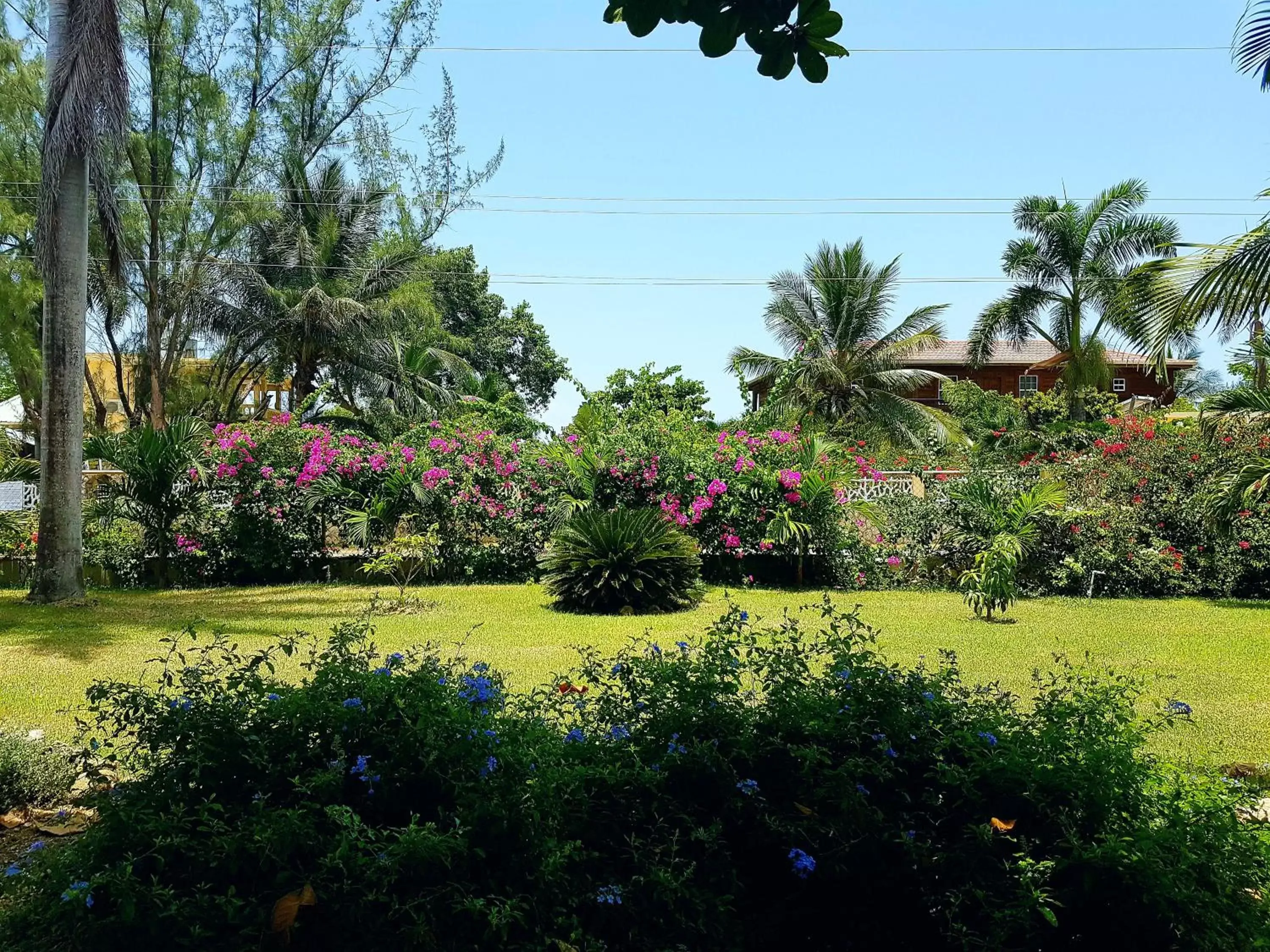 Natural landscape, Garden in The Westender Inn