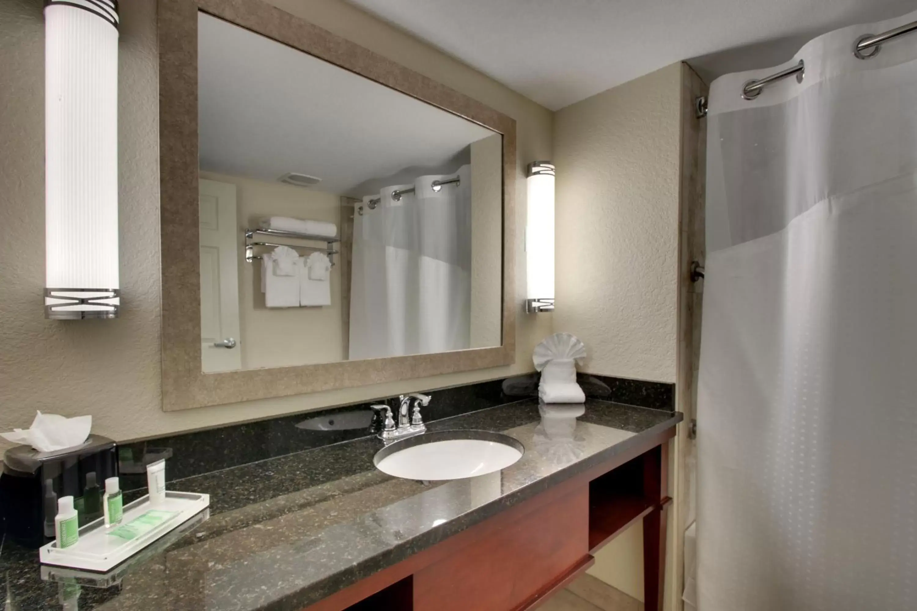 Bathroom in Holiday Inn Resort Orlando - Lake Buena Vista, an IHG Hotel