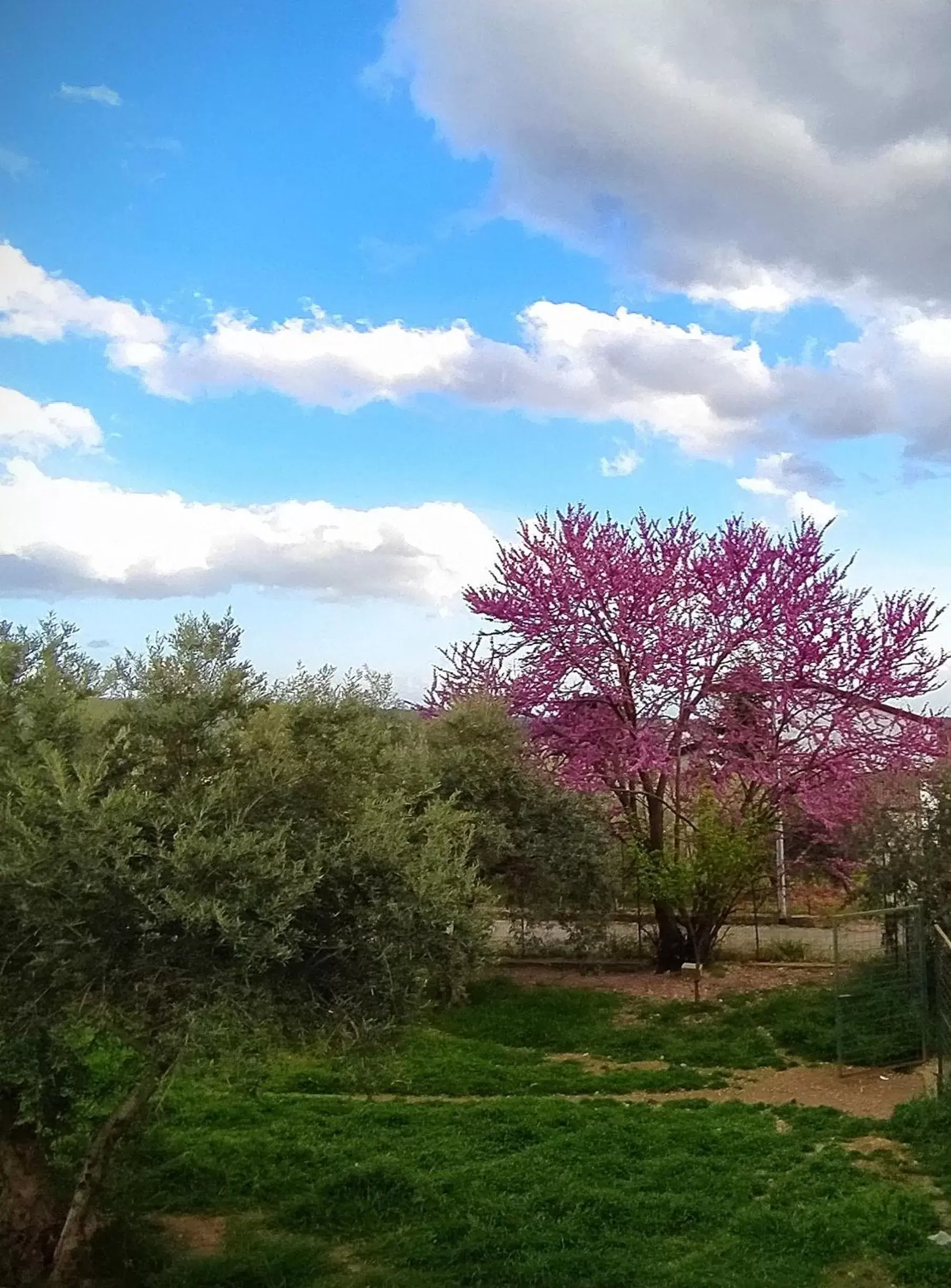 Natural landscape in B & B Luoghi Antichi