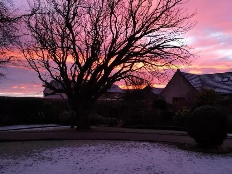 Property building in Lossiemouth House