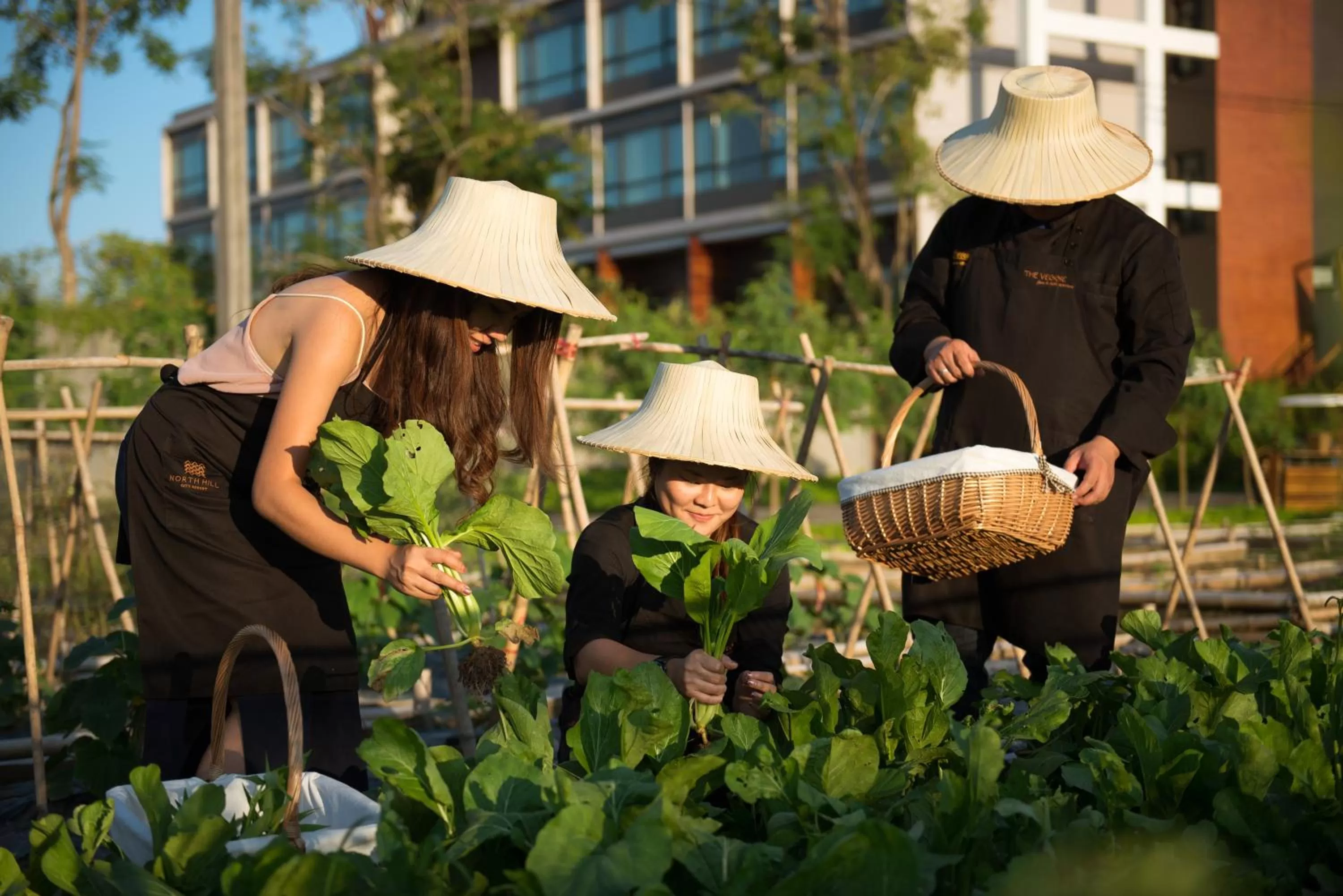 Activities in North Hill City Resort