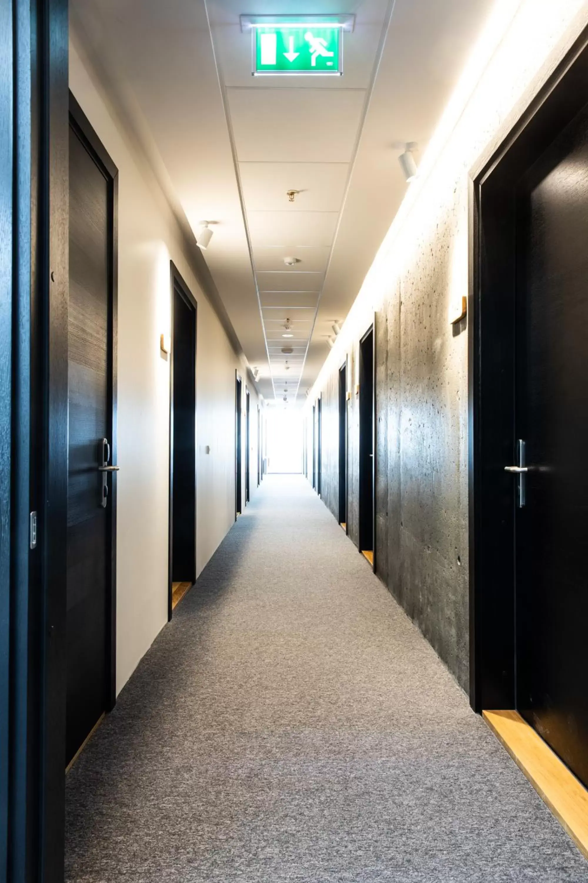 Facade/entrance in Hotel South Coast Facade/entrance in Hotel South Coast