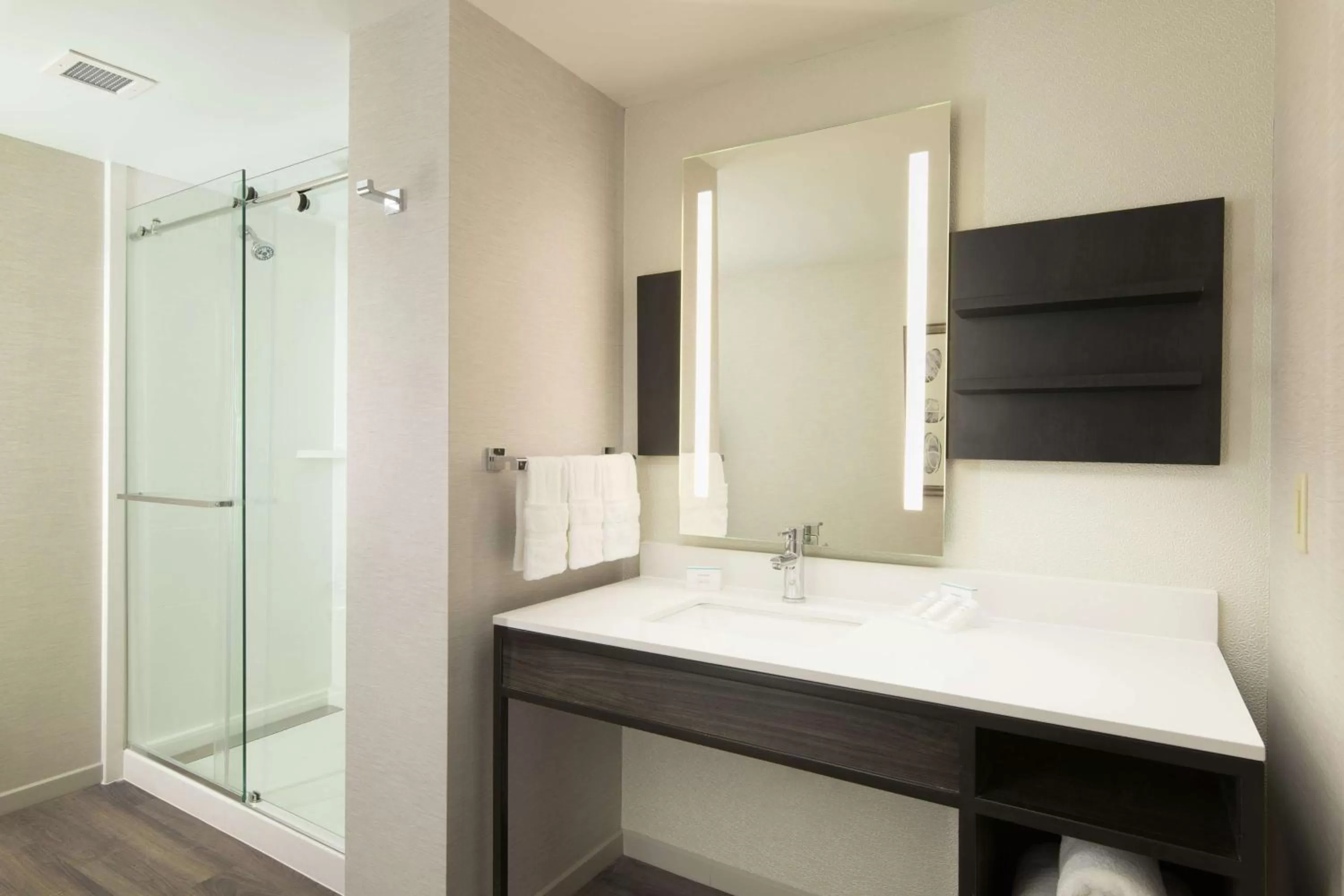 Bathroom in Hilton Garden Inn Memphis Downtown Beale Street