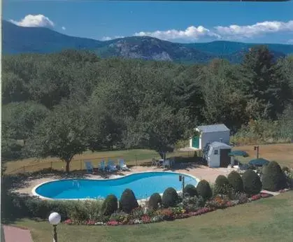 Pool View in Briarcliff Motel