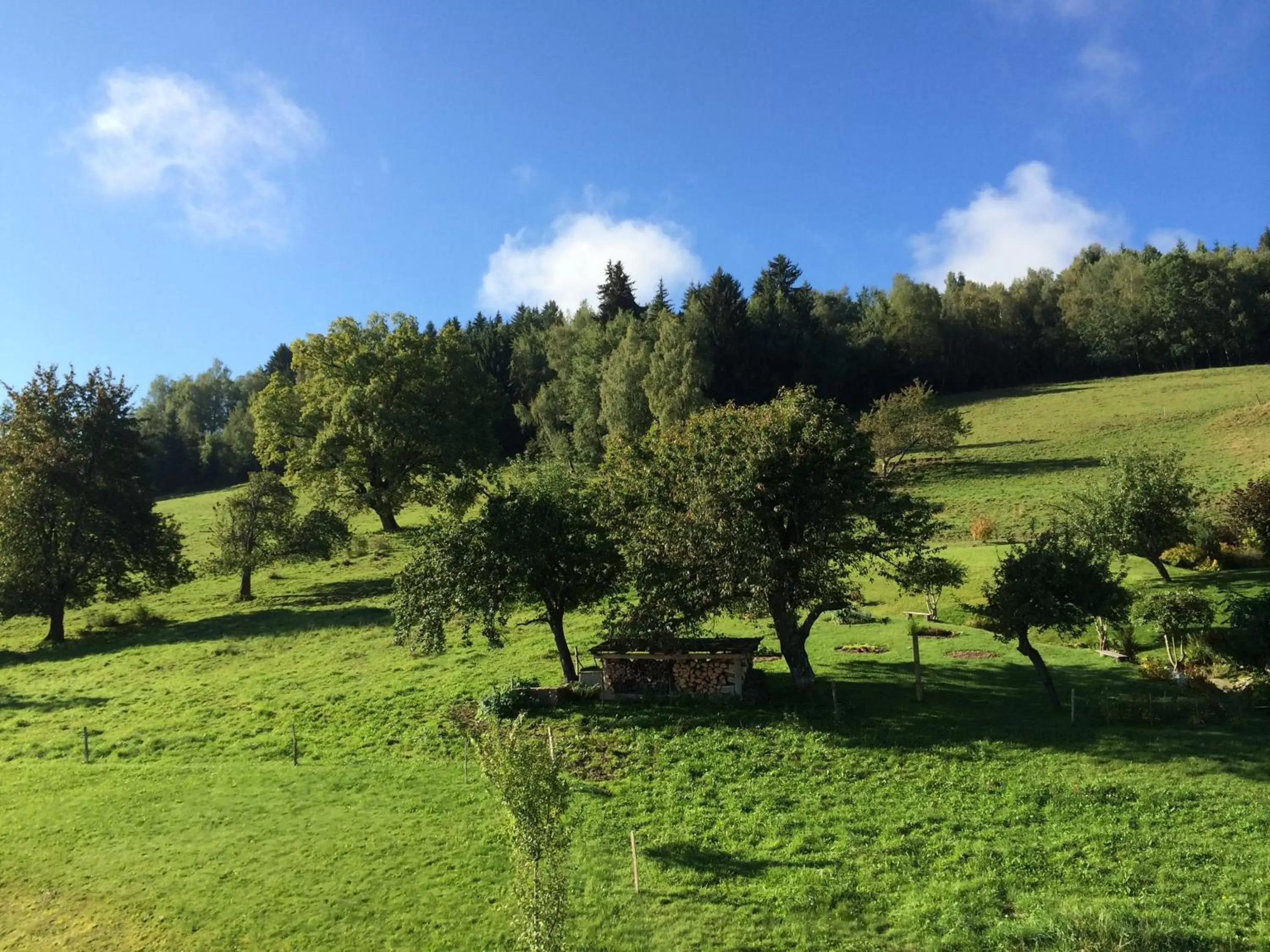 View (from property/room), Garden in Le Floralp