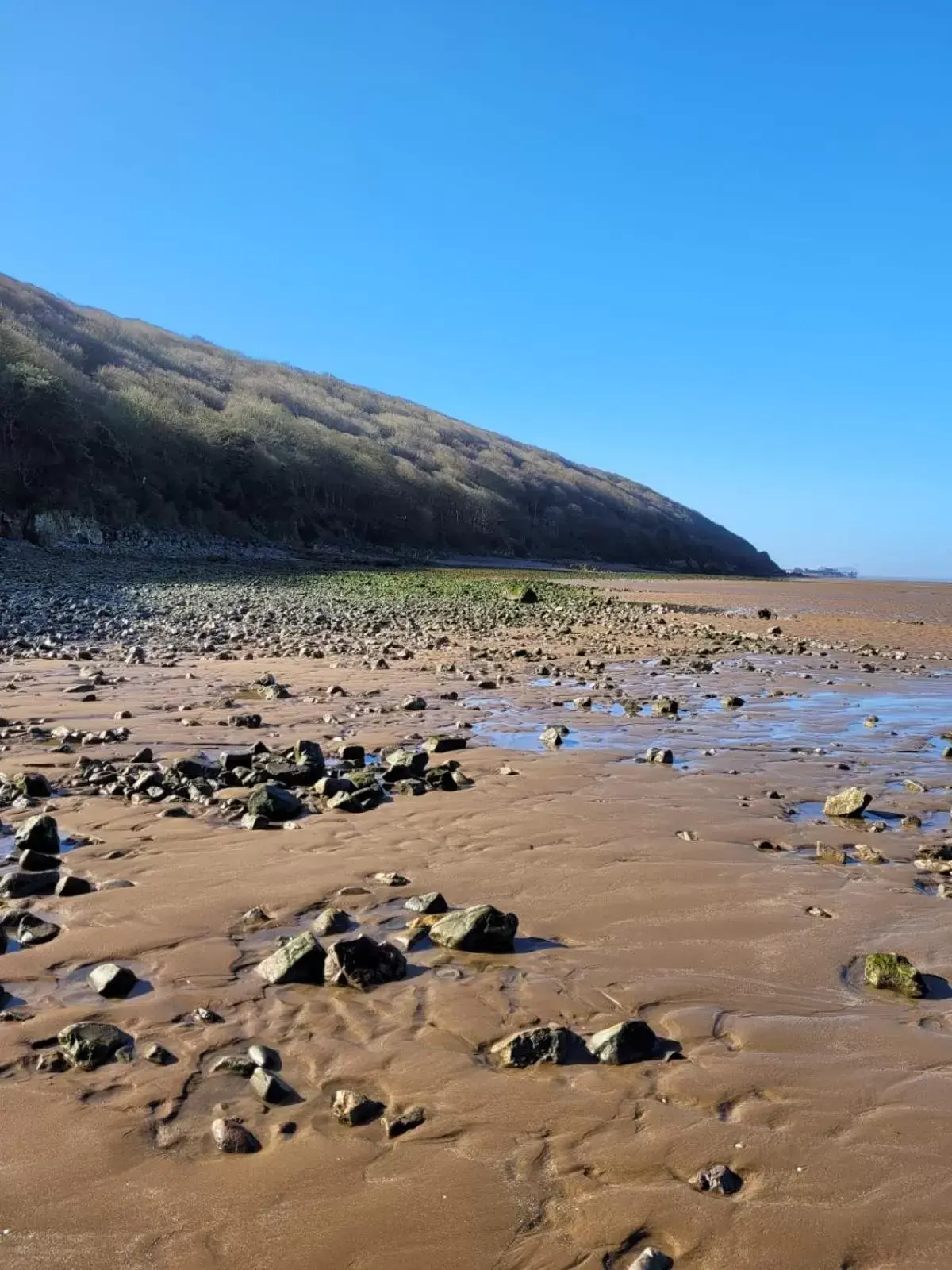 Beach in South Sands Hotel