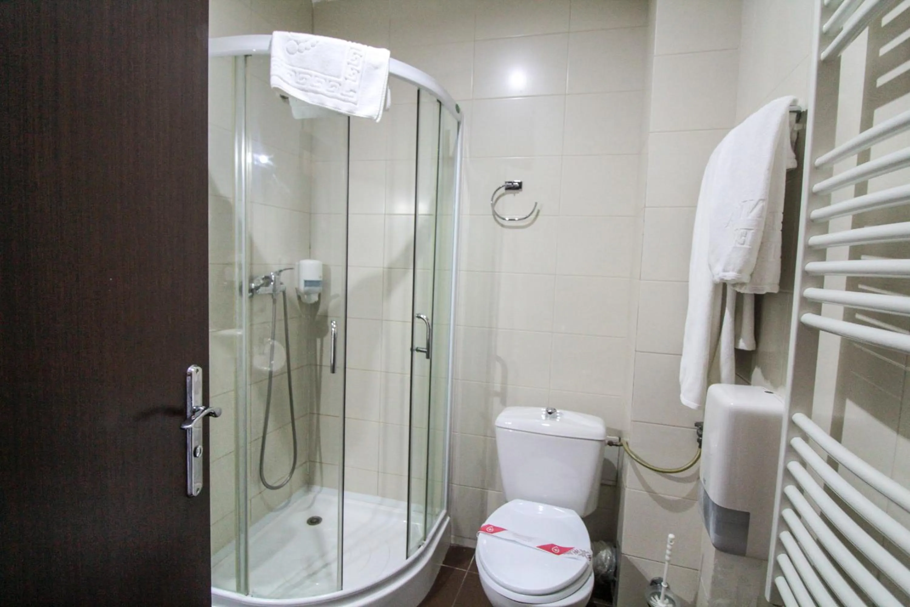 Shower in Hotel Razvan