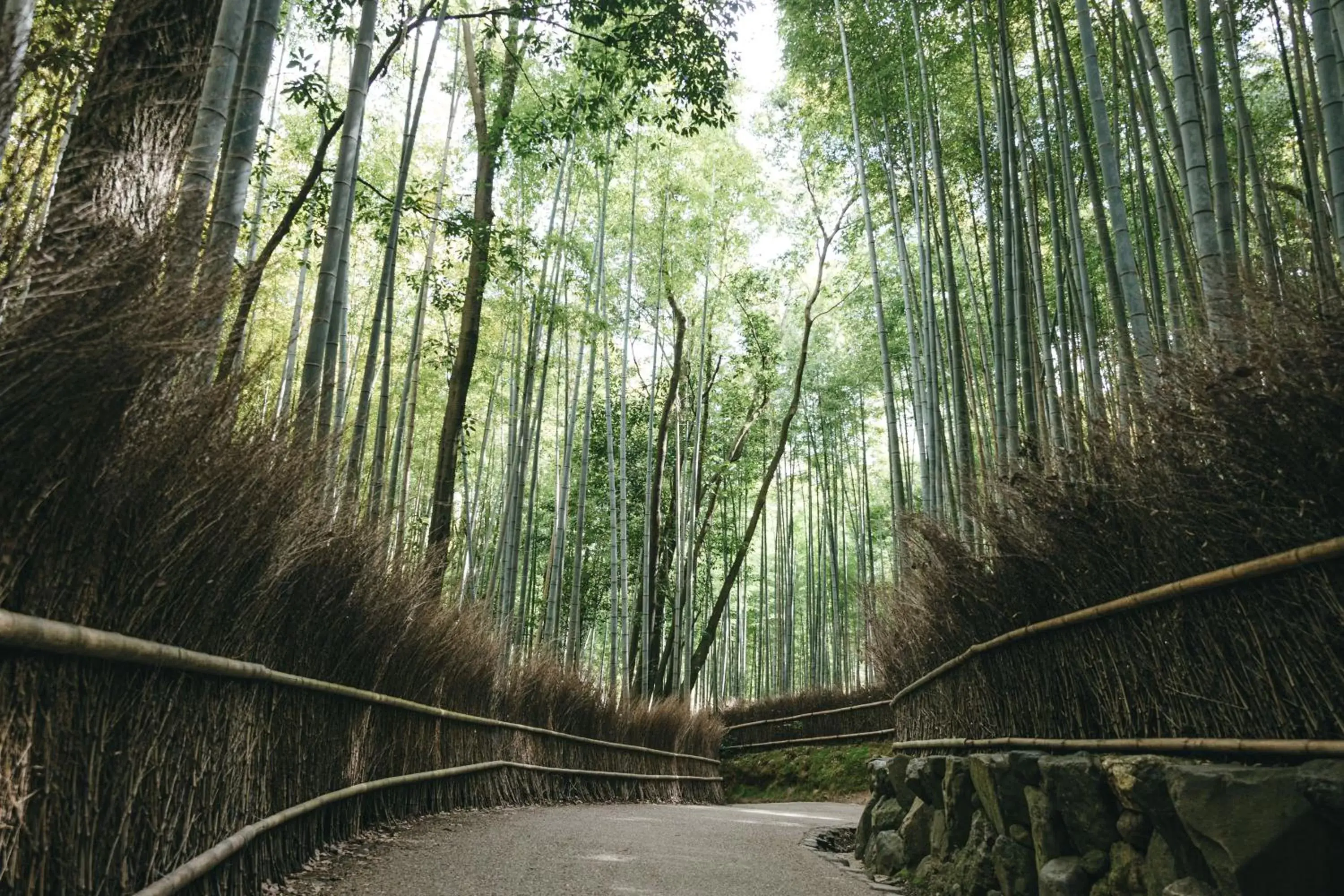 Nearby landmark in Tokyu Stay Kyoto Sakaiza Shijo Kawaramachi