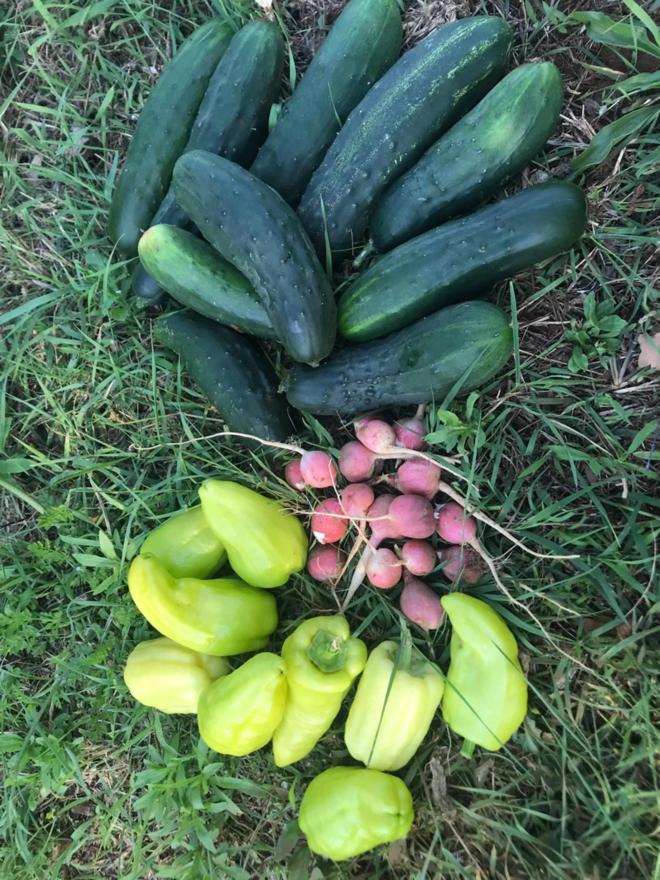 Restaurant/places to eat in Villa Flowers