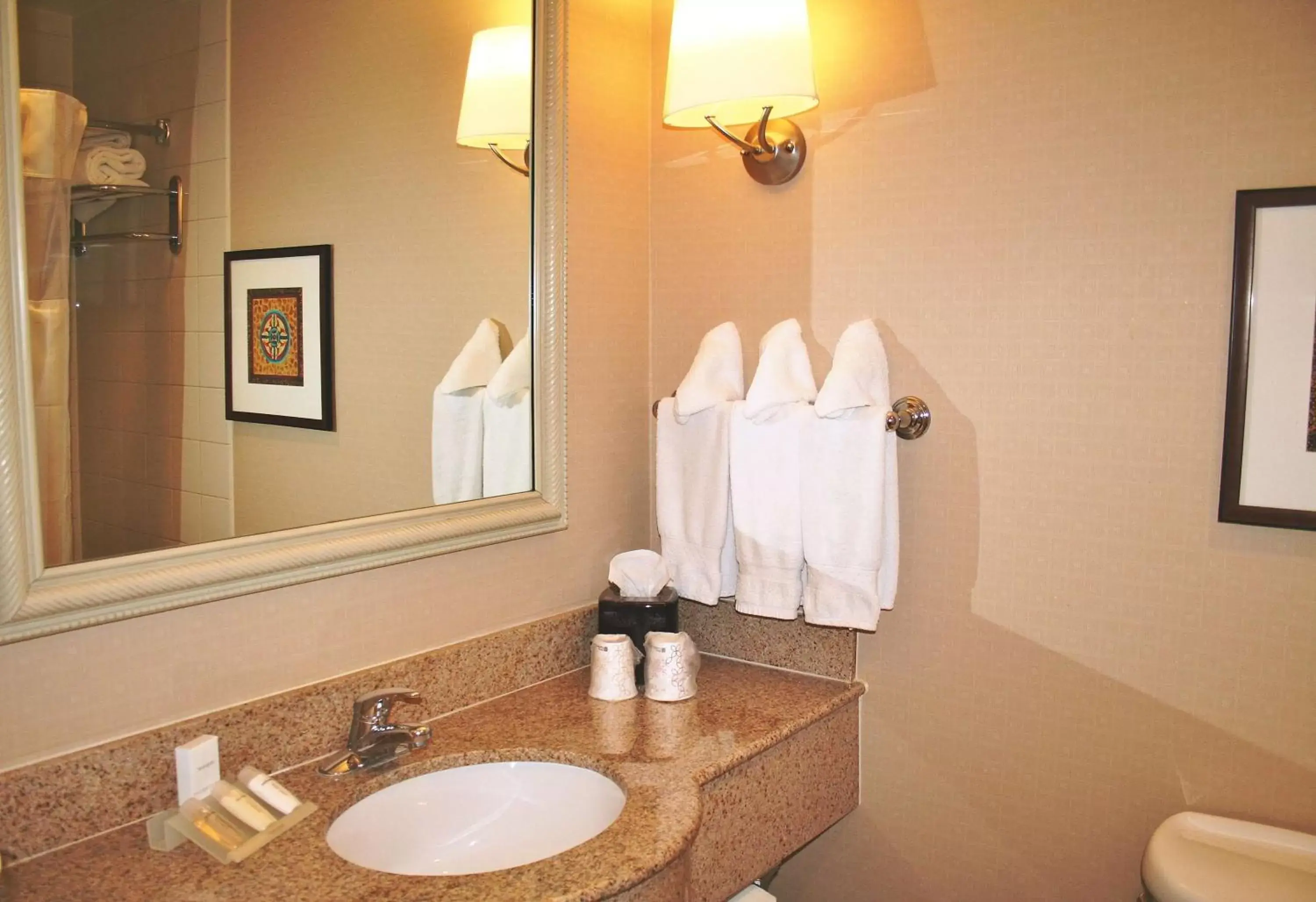Bathroom in Hilton Garden Inn El Paso University
