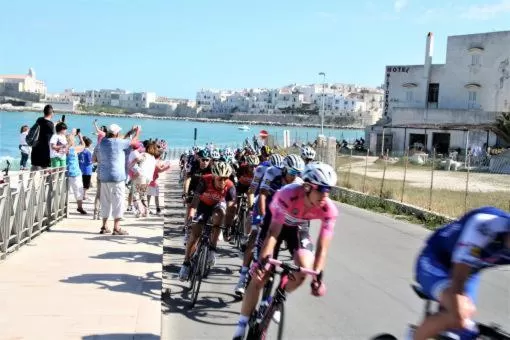 Activities in B&B Palazzo Manfredi Vieste, Fronte mare con Parcheggio