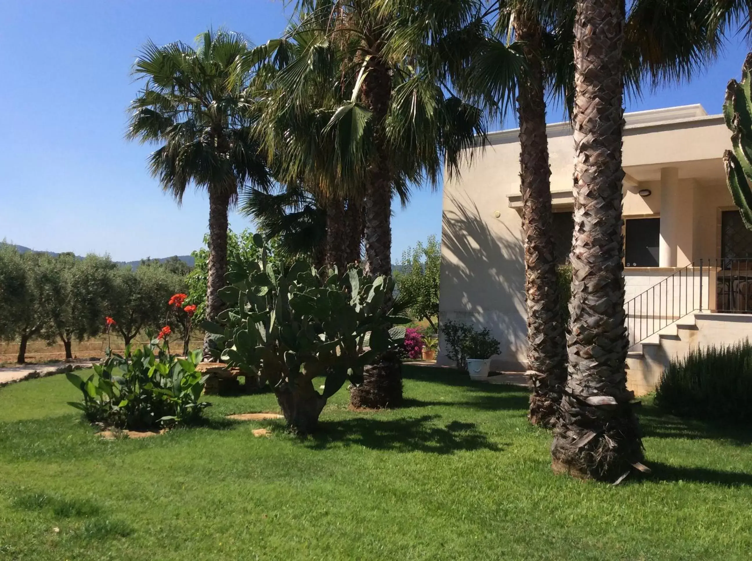 Garden in Villa Narducci