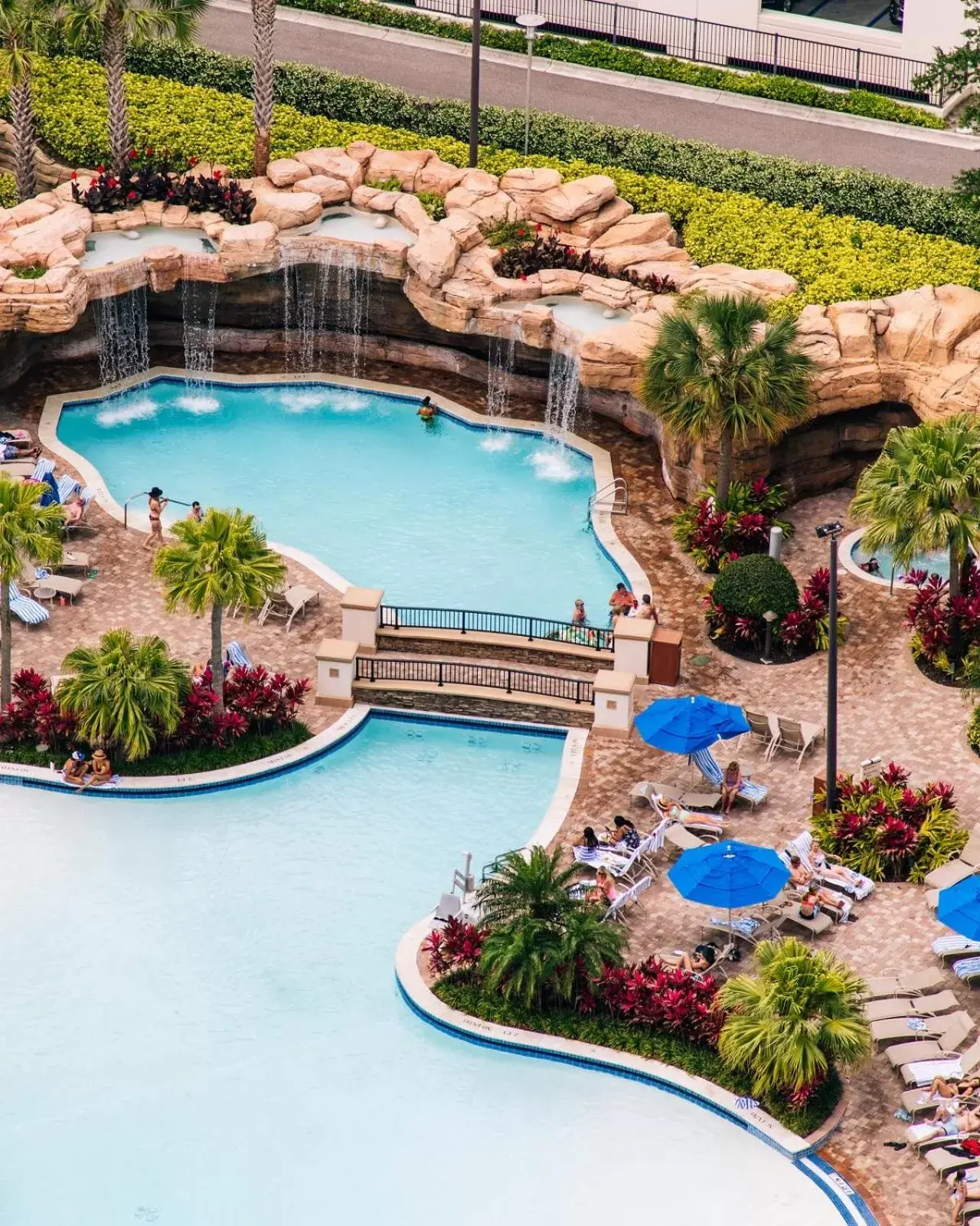 Pool View in Hyatt Regency Orlando