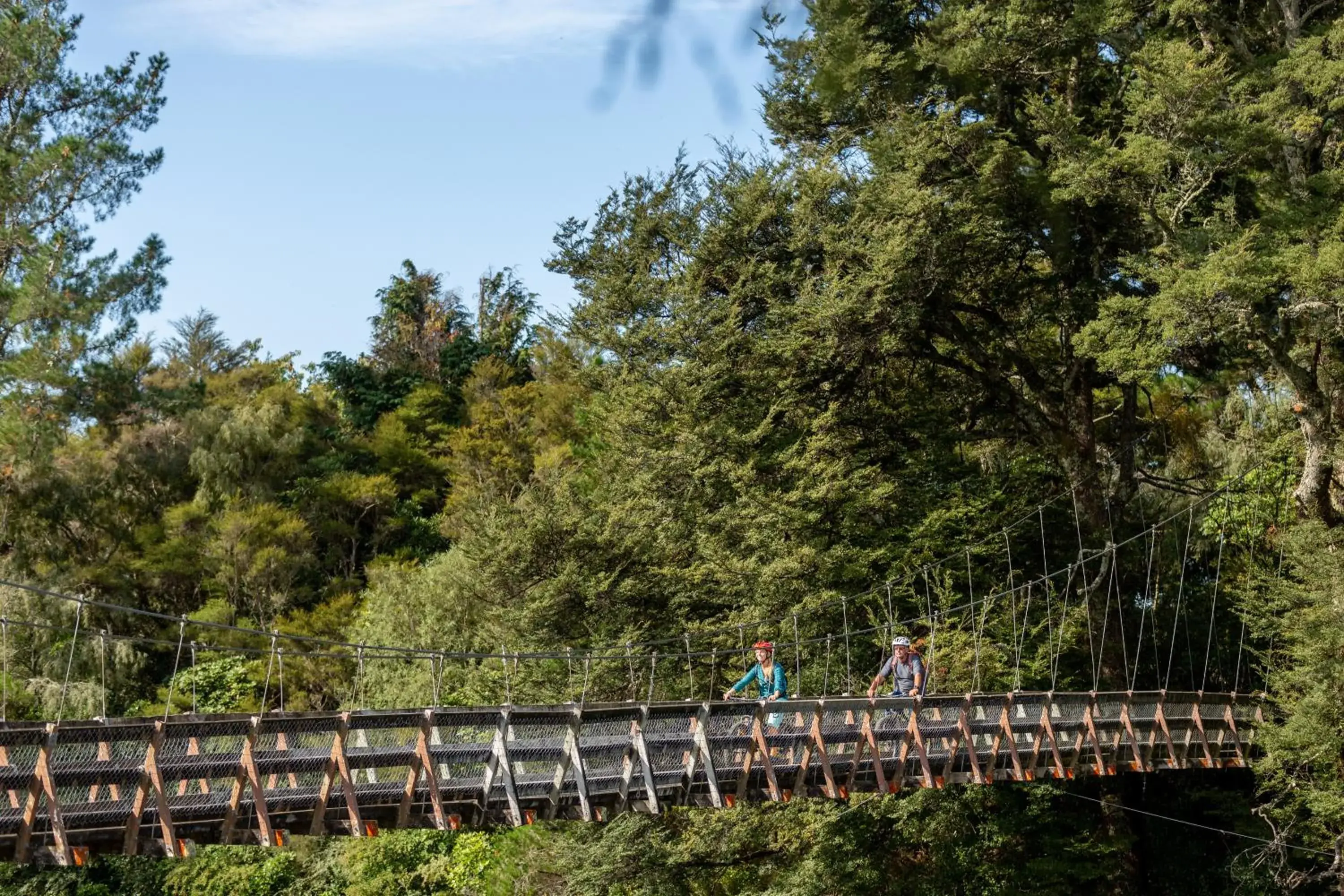 Natural landscape in Parklands Motorlodge & Holiday Park