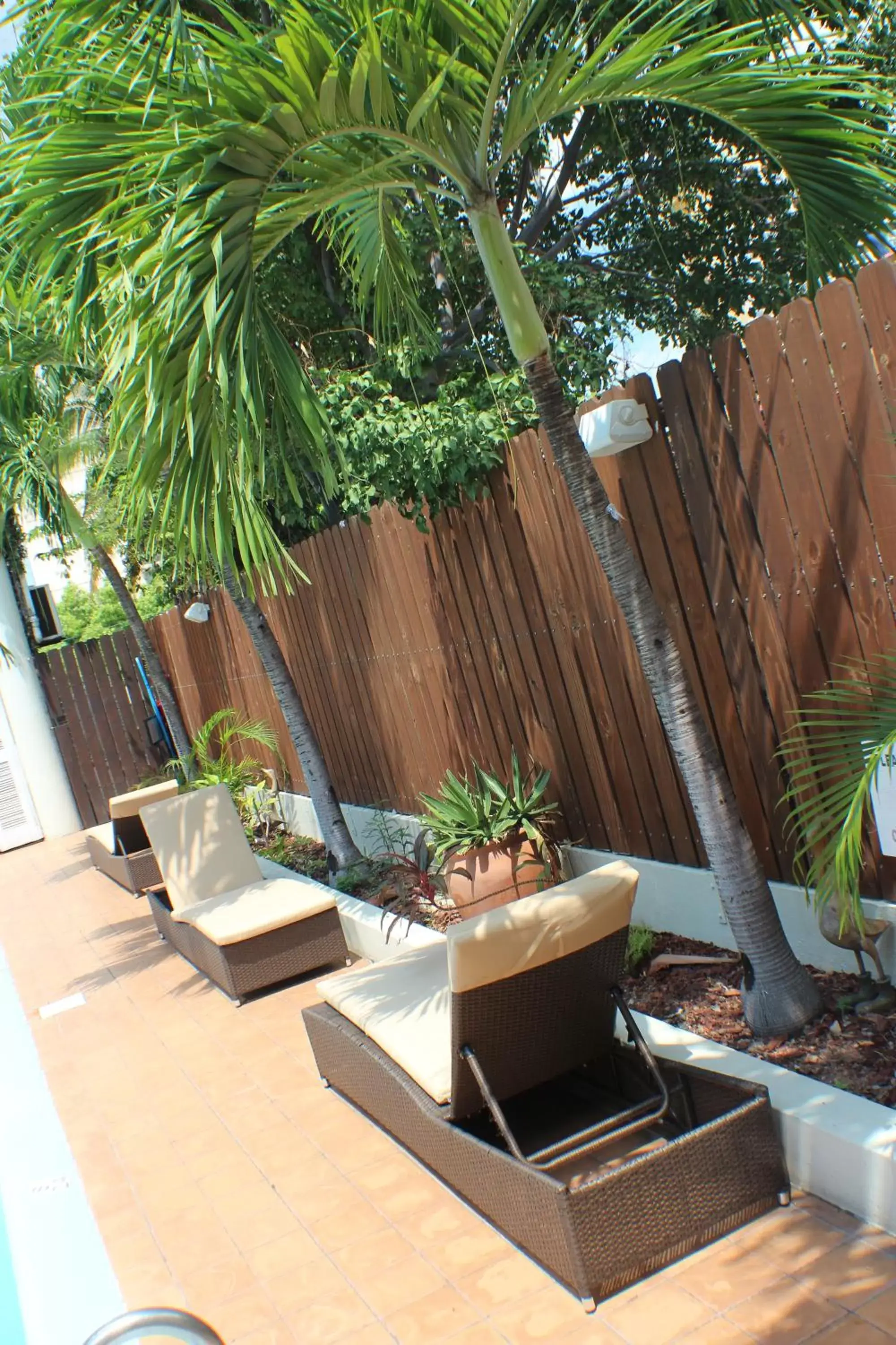 Lounge or bar in Altamont Court Hotel Lounge or bar in Altamont Court Hotel