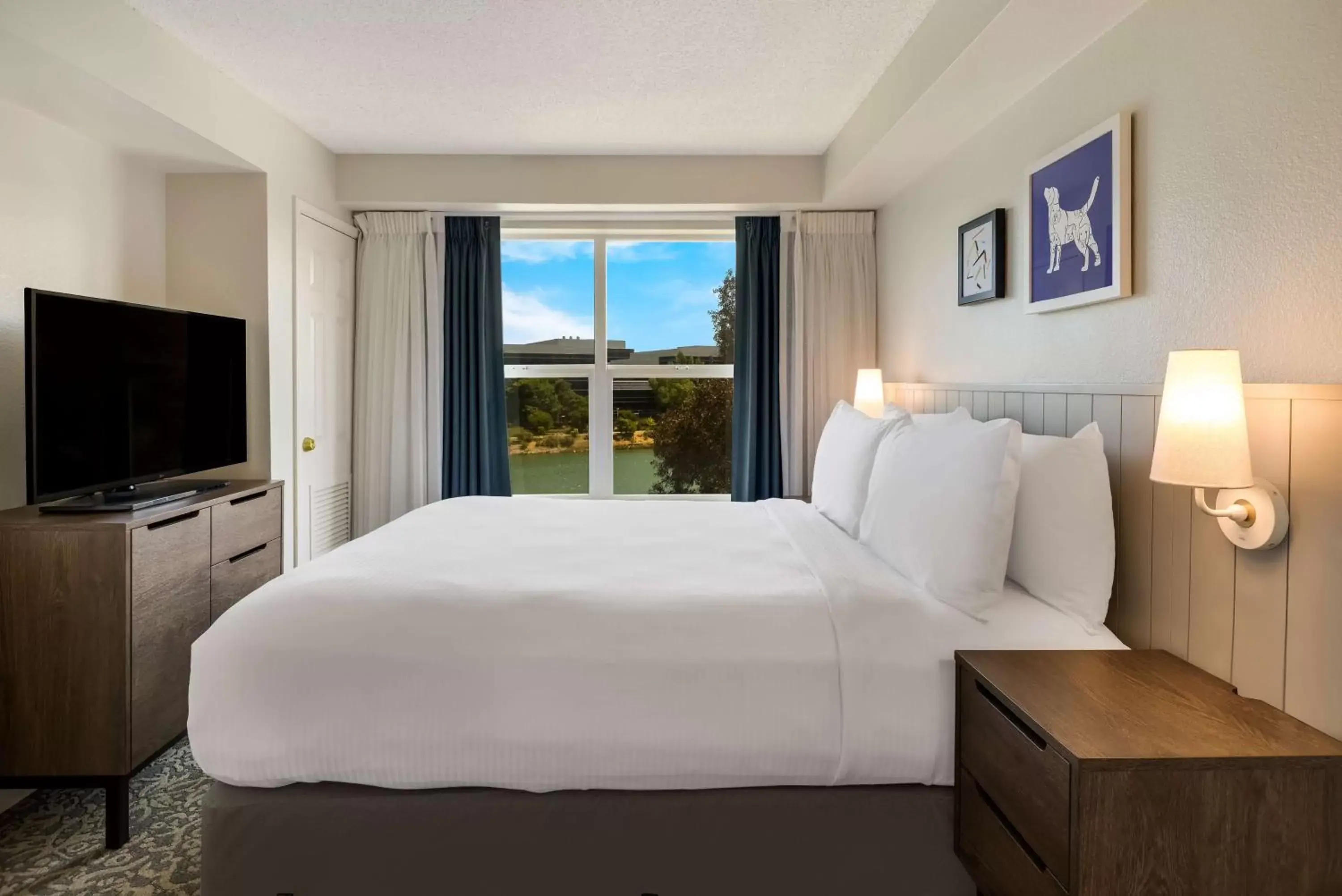 Photo of the whole room, Bed in Sonesta ES Suites San Francisco Airport Oyster Point Waterfront