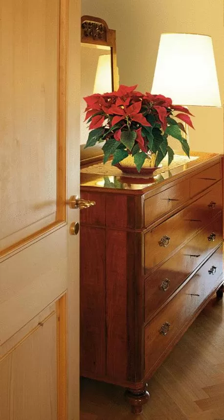 Bed in Villa Busta Hotel