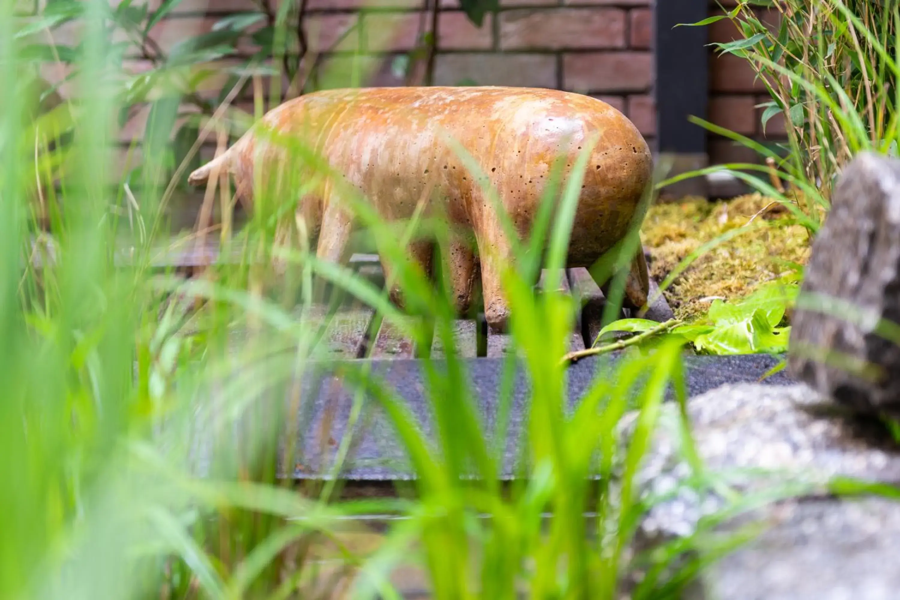 Garden in MOSAIC HOUSE Design Hotel