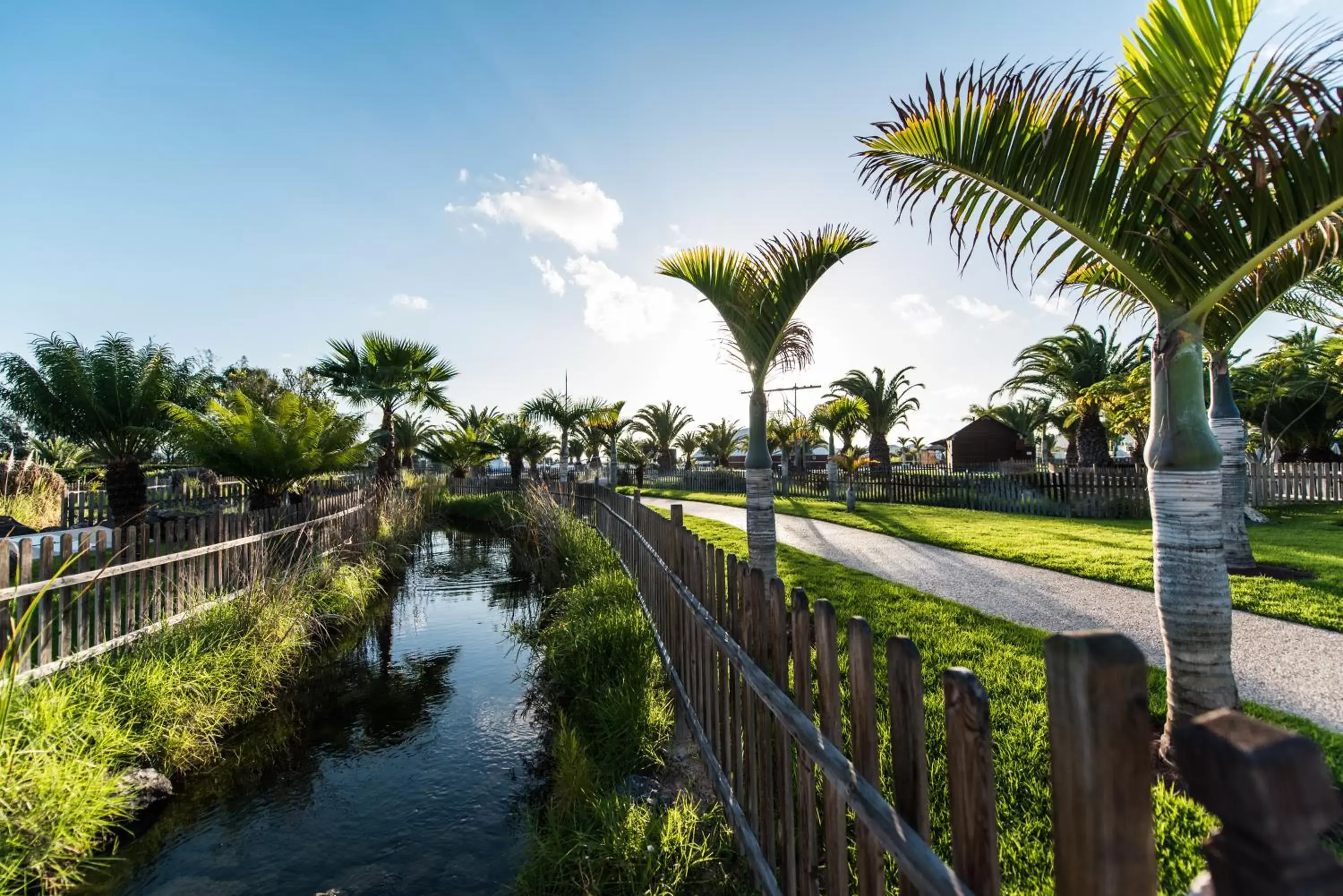 Garden in THB Tropical Island