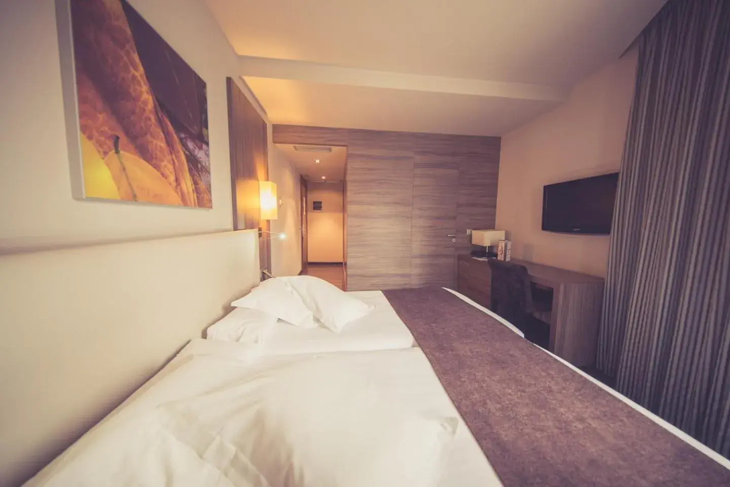 TV and multimedia, Bed in Hotel Aroi Ponferrada