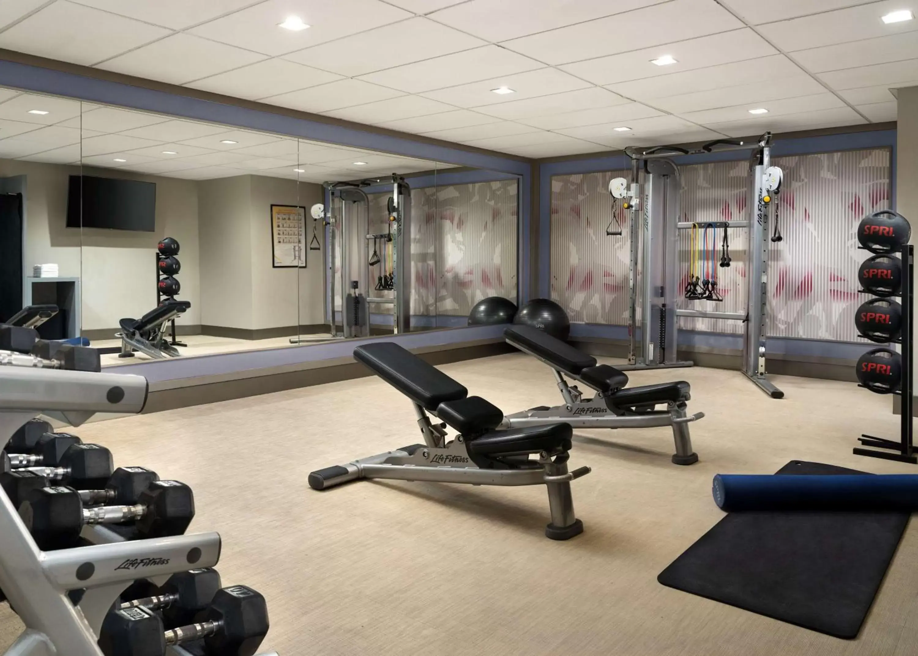 Fitness centre/facilities, Fitness Center/Facilities in Sonesta Redondo Beach and Marina