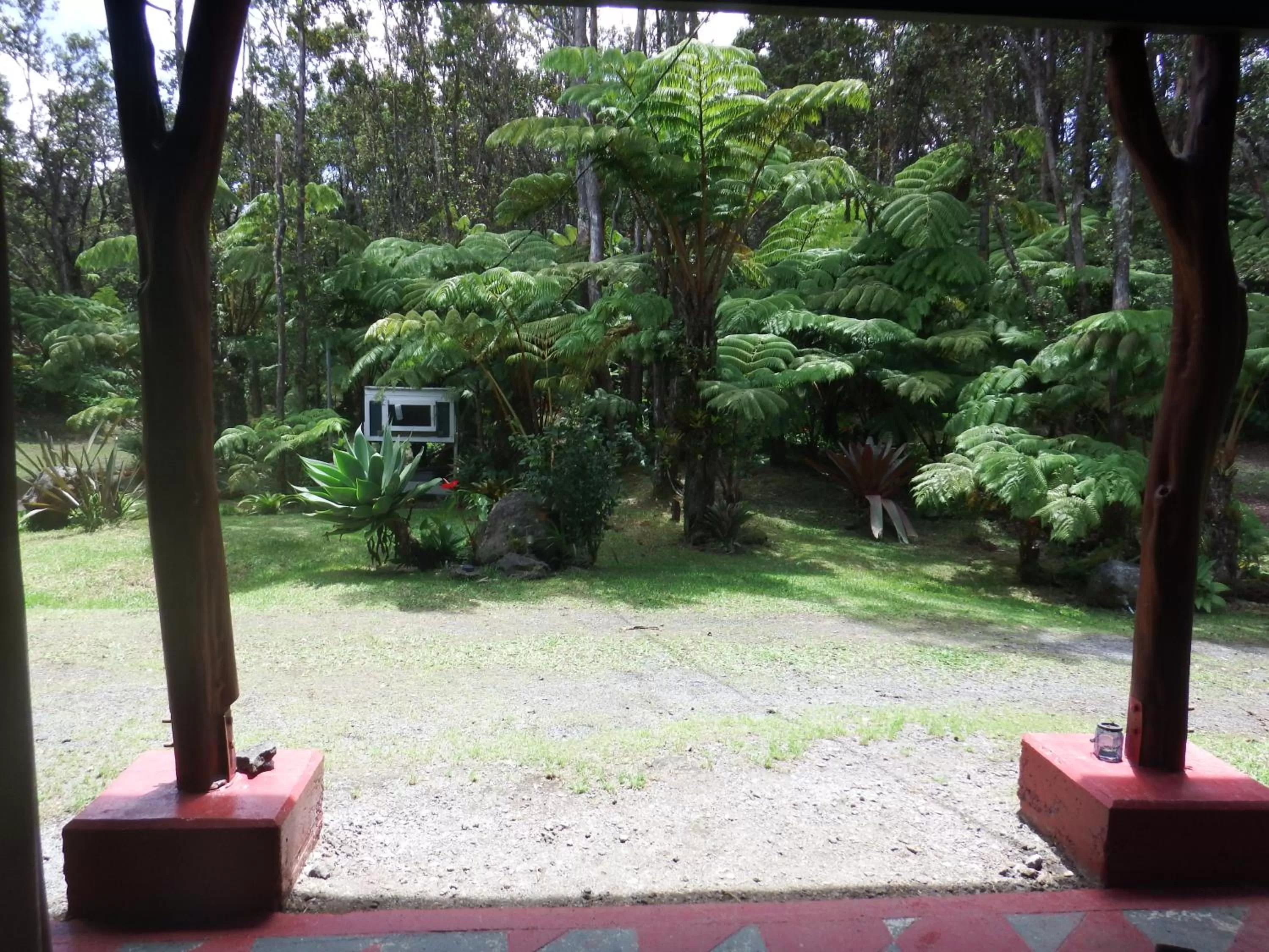 Day in Aloha Crater Lodge