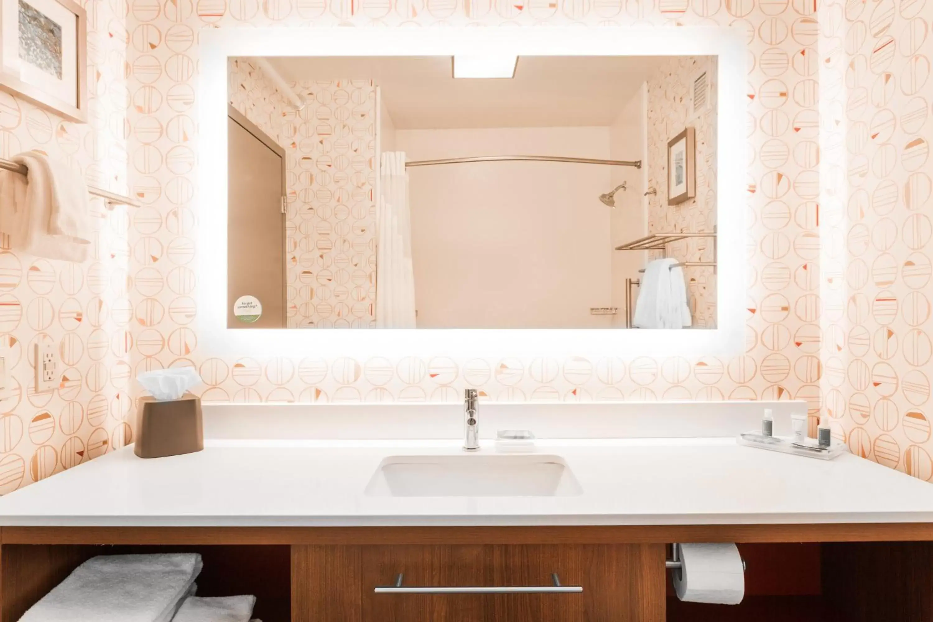 Bathroom in Holiday Inn - Boone - University Area, an IHG Hotel