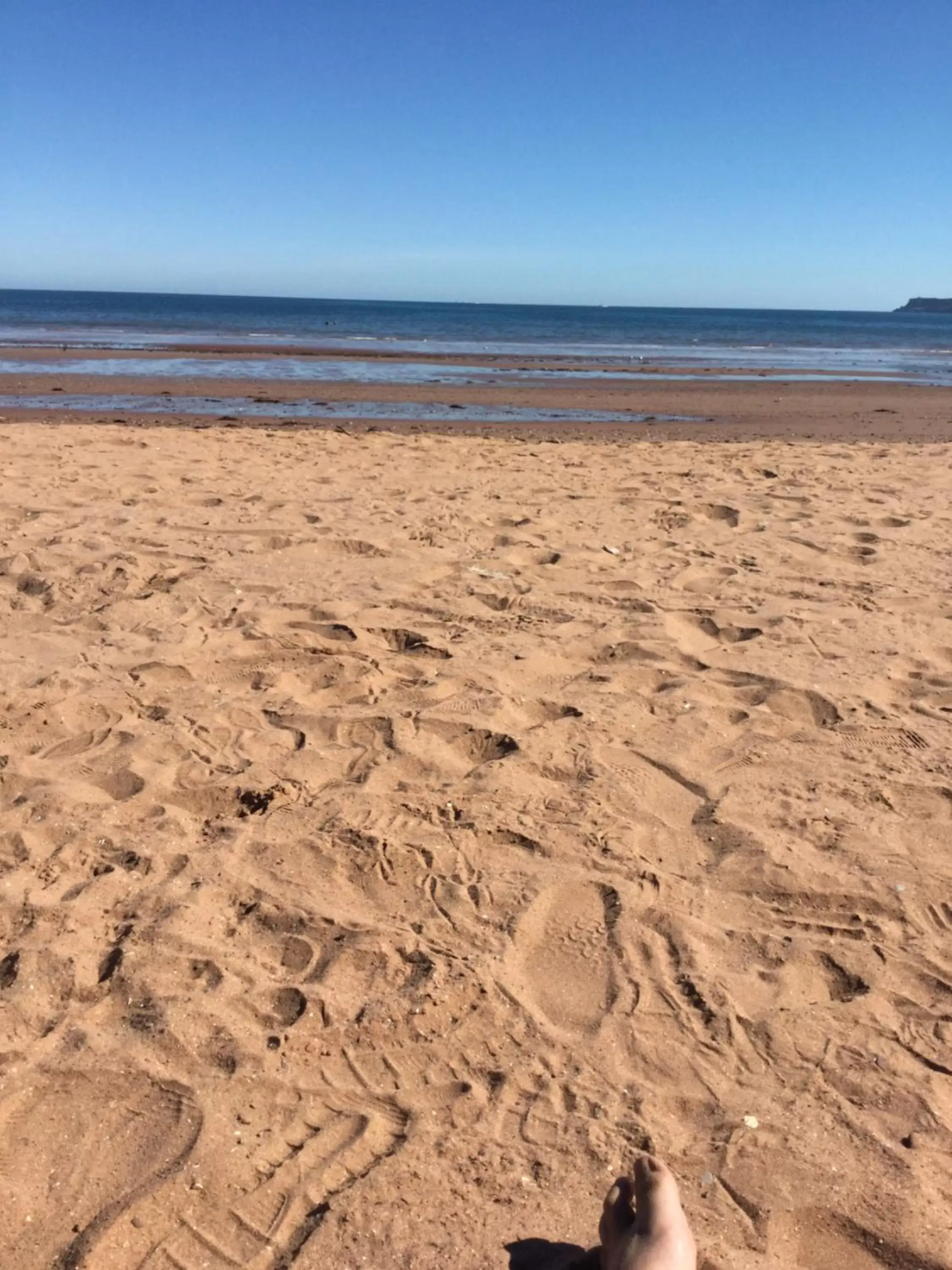 Beach in Trentham House