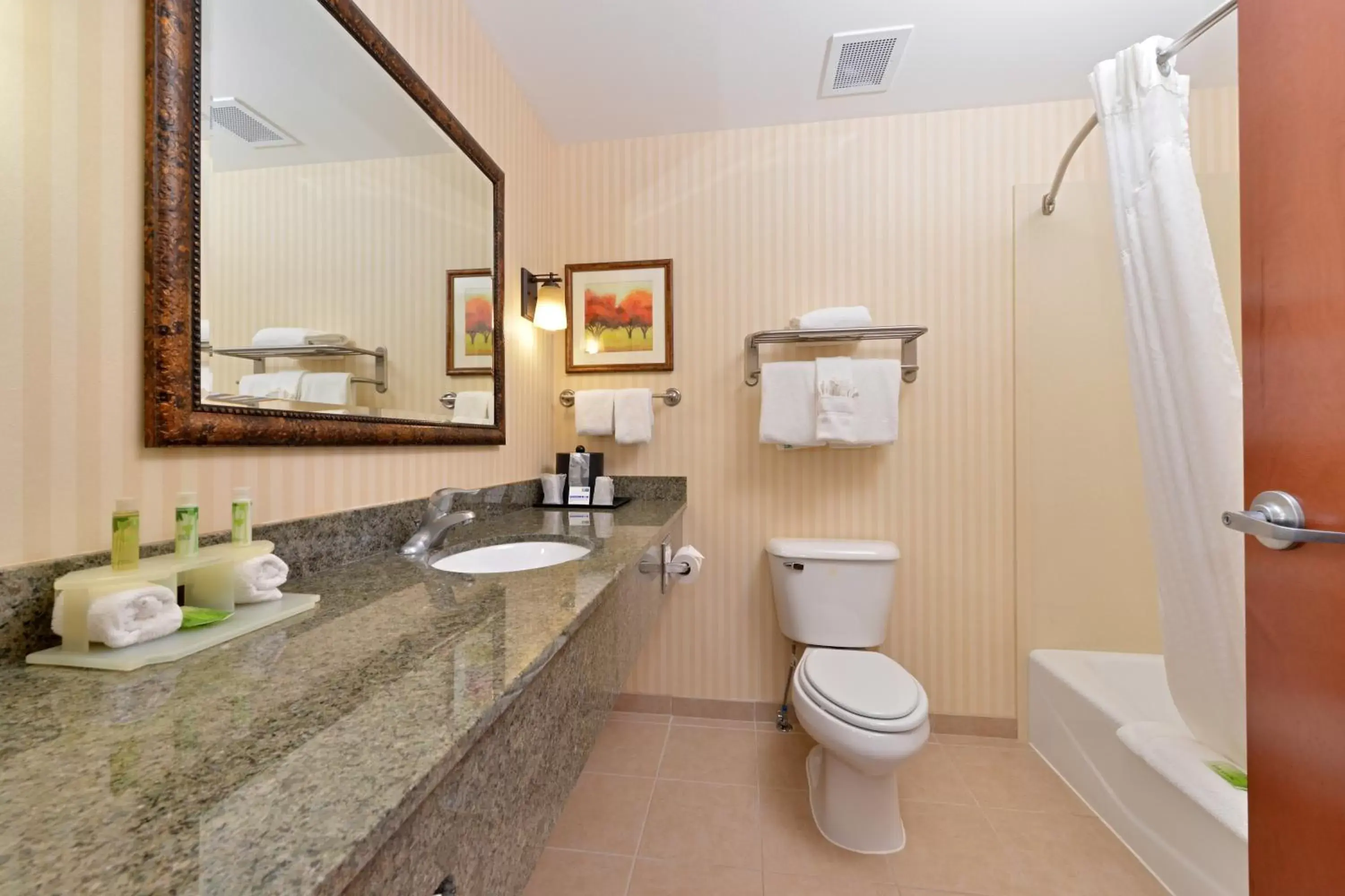 Bathroom in Holiday Inn Express Rawlins, an IHG Hotel