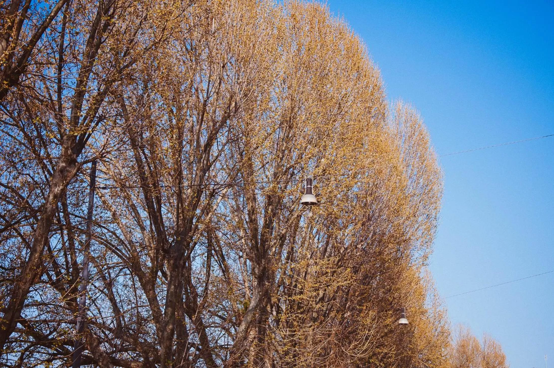 Area and facilities in All'Orologio