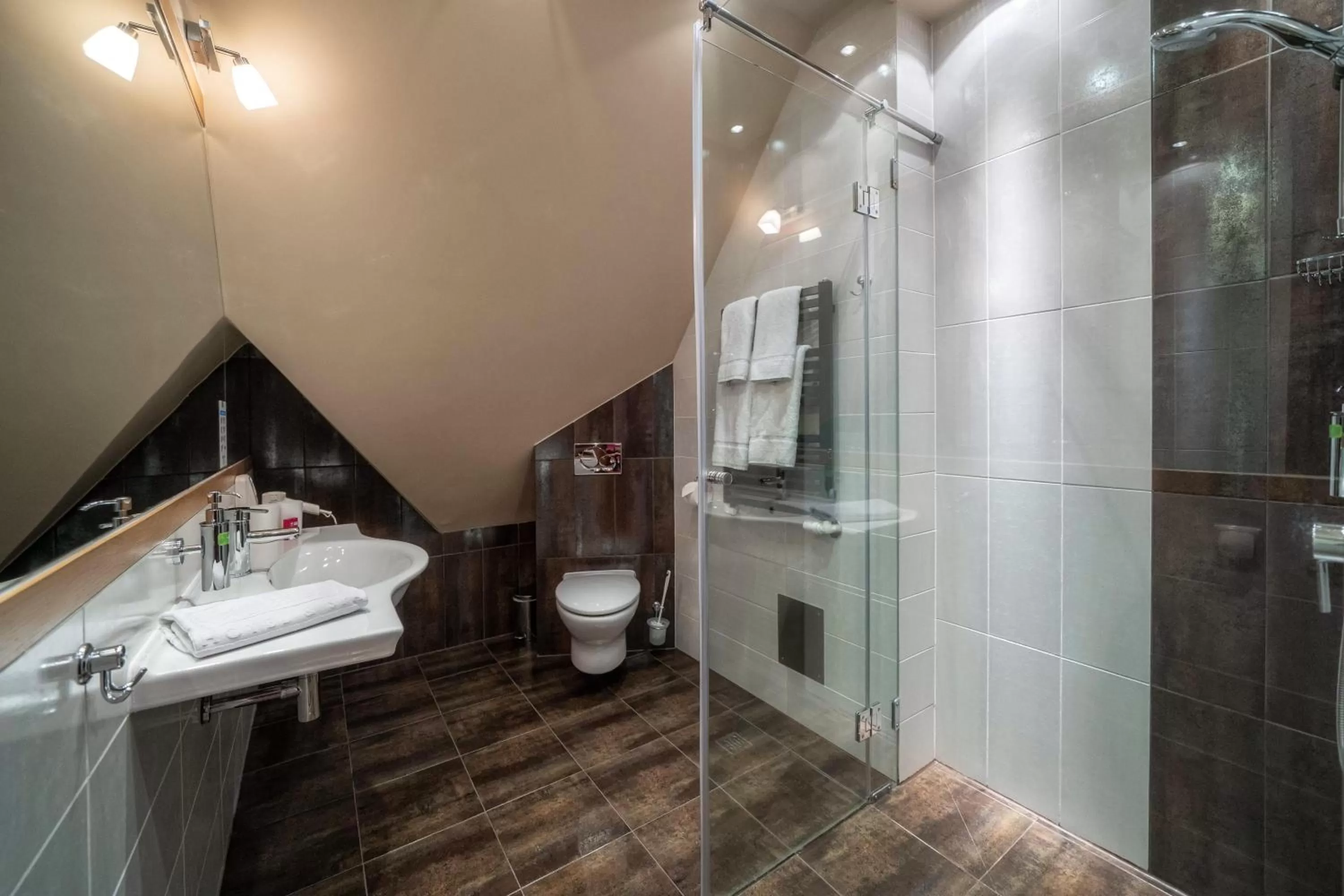 Toilet, Bathroom in Pokoje w Oberży Czarny Groń