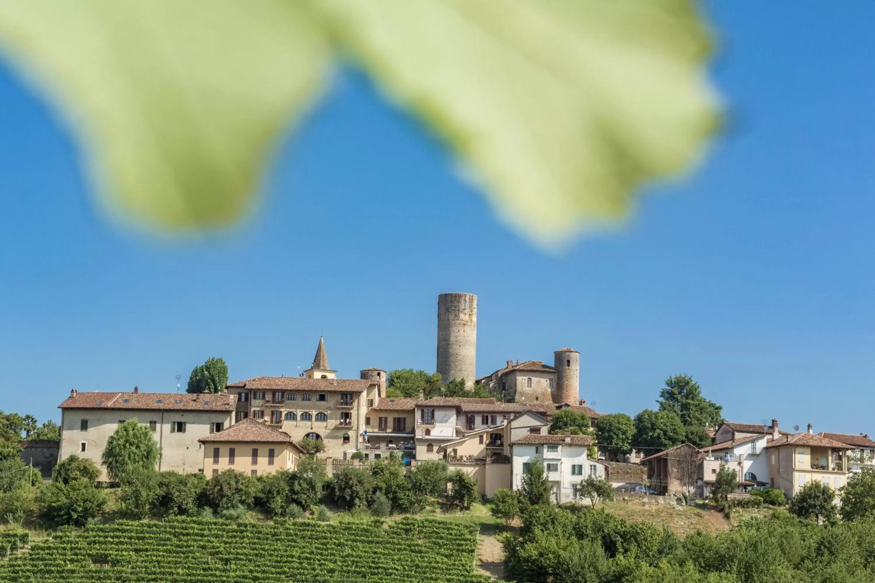 Neighbourhood in Le Torri - Castiglione Falletto