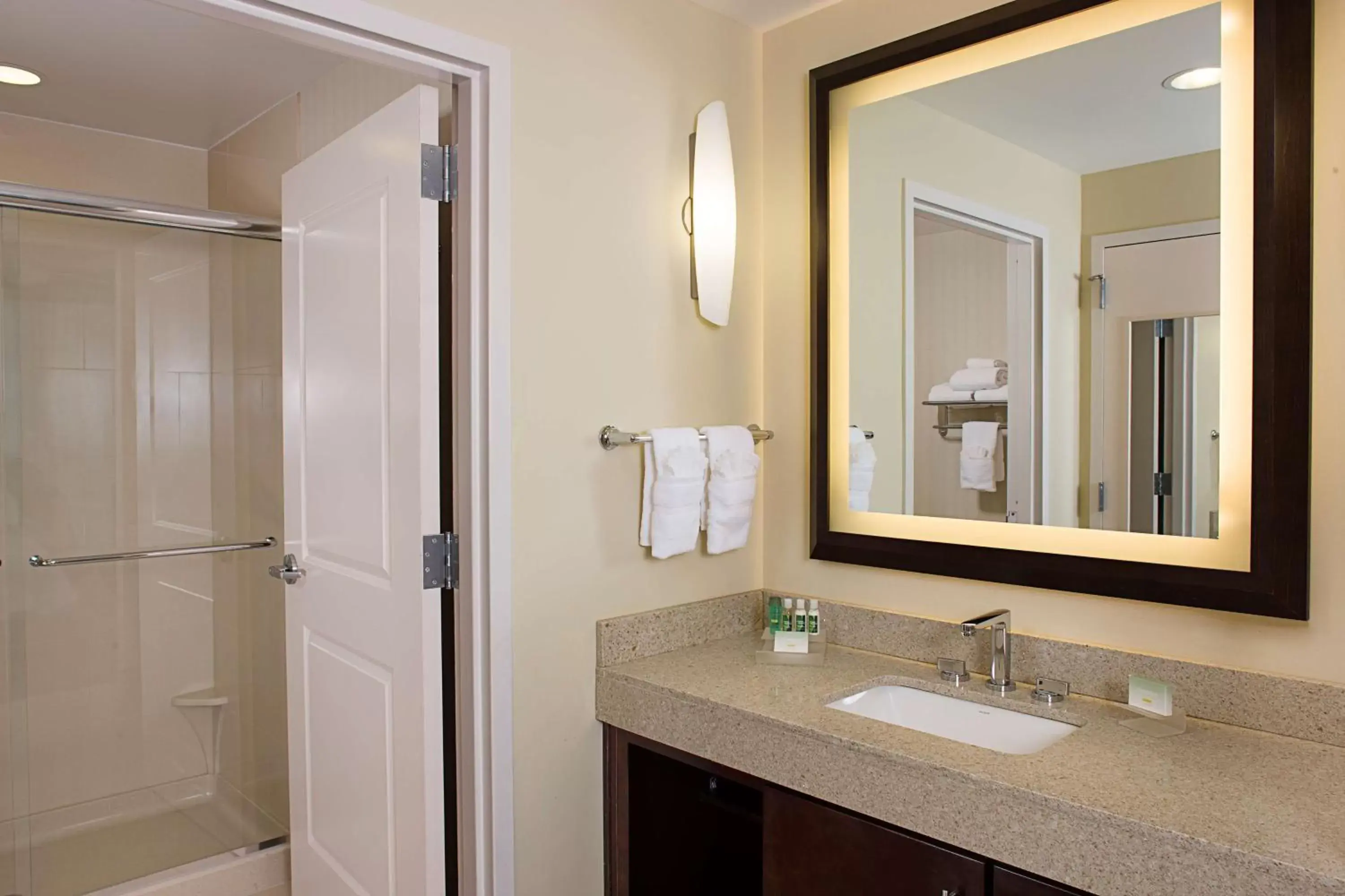 Bathroom in Homewood Suites Dallas Downtown