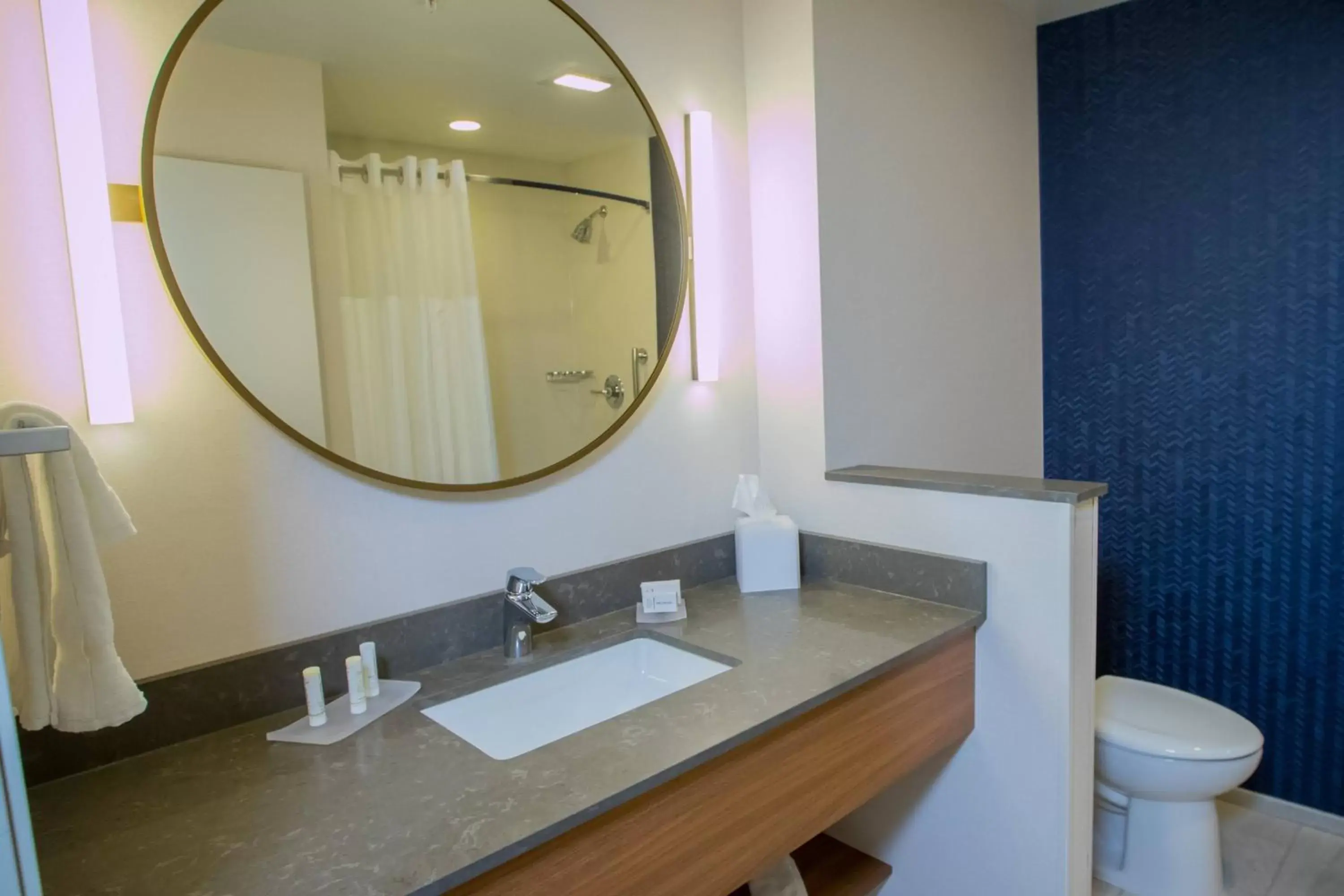 Bathroom in Fairfield Inn & Suites By Marriott Alexandria