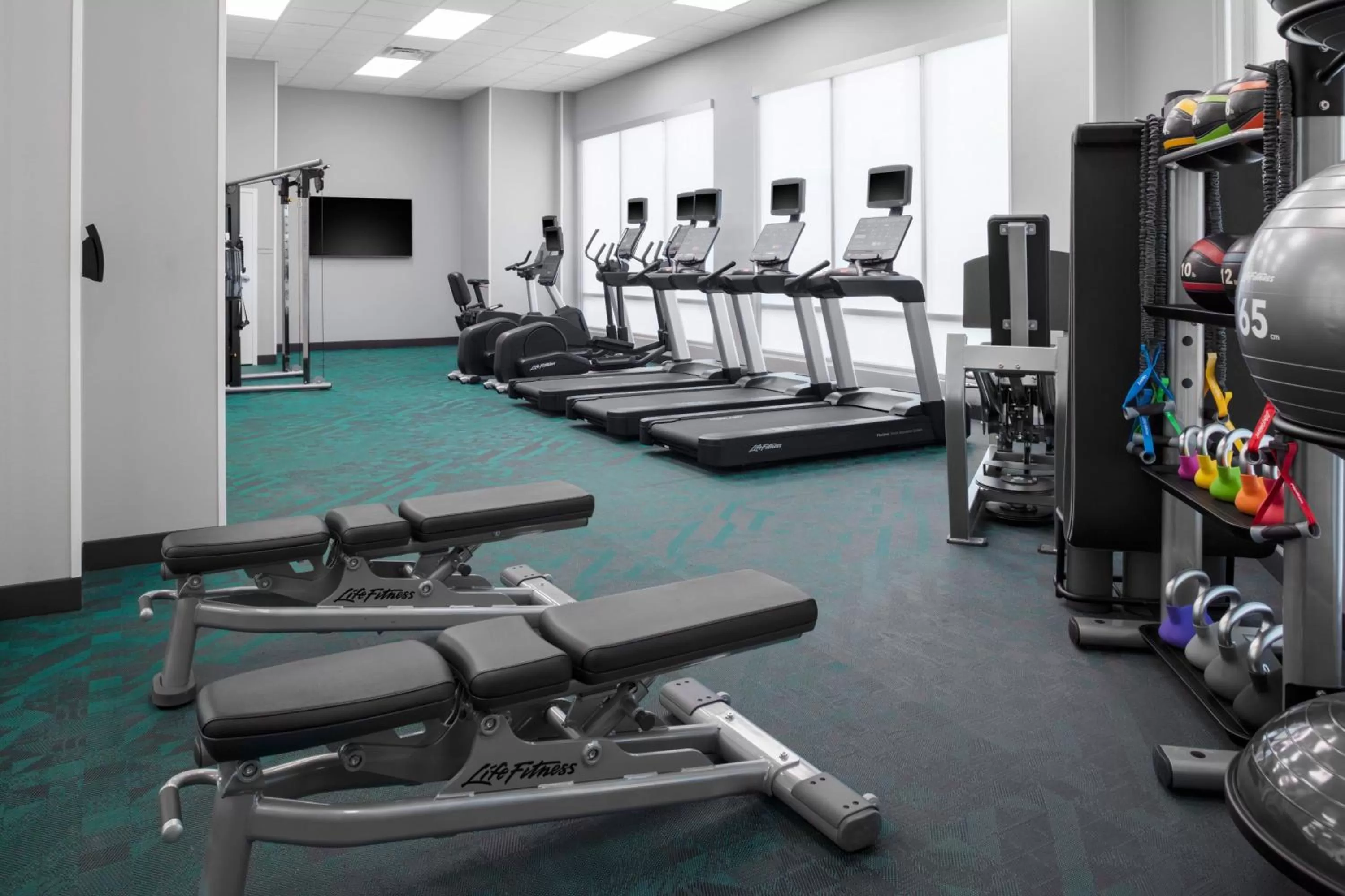 Fitness centre/facilities in TownePlace Suites by Marriott Tampa Clearwater