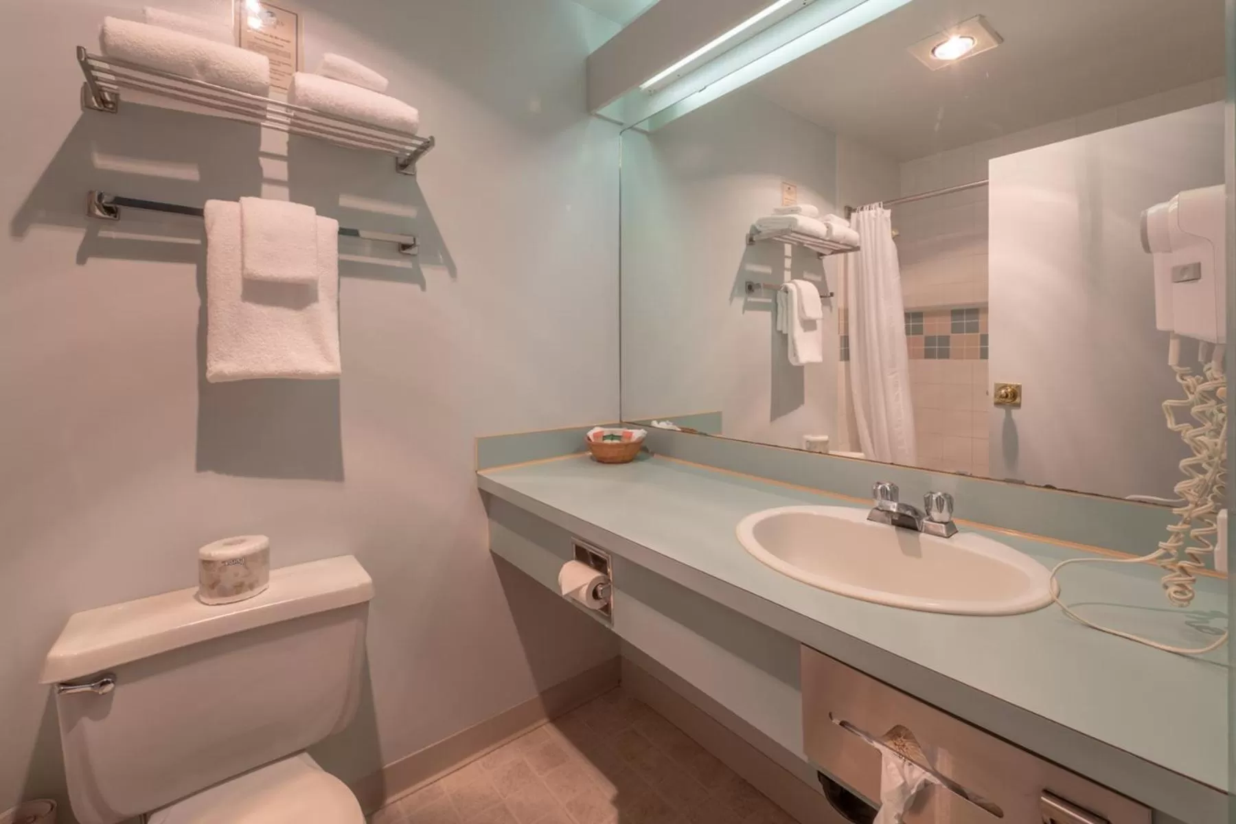 Bathroom in The Cedars Inn Hotel & Convention Centre