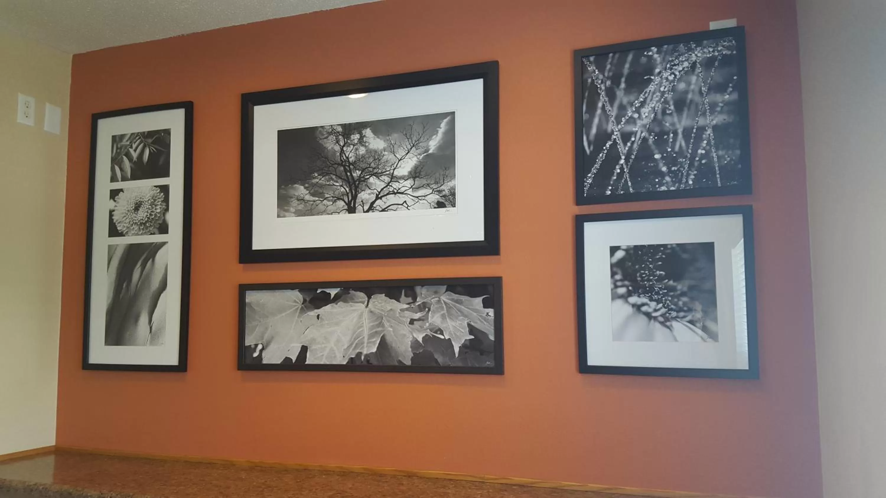 Decorative detail in Country Inn & Suites by Radisson, Bloomington-Normal West, IL