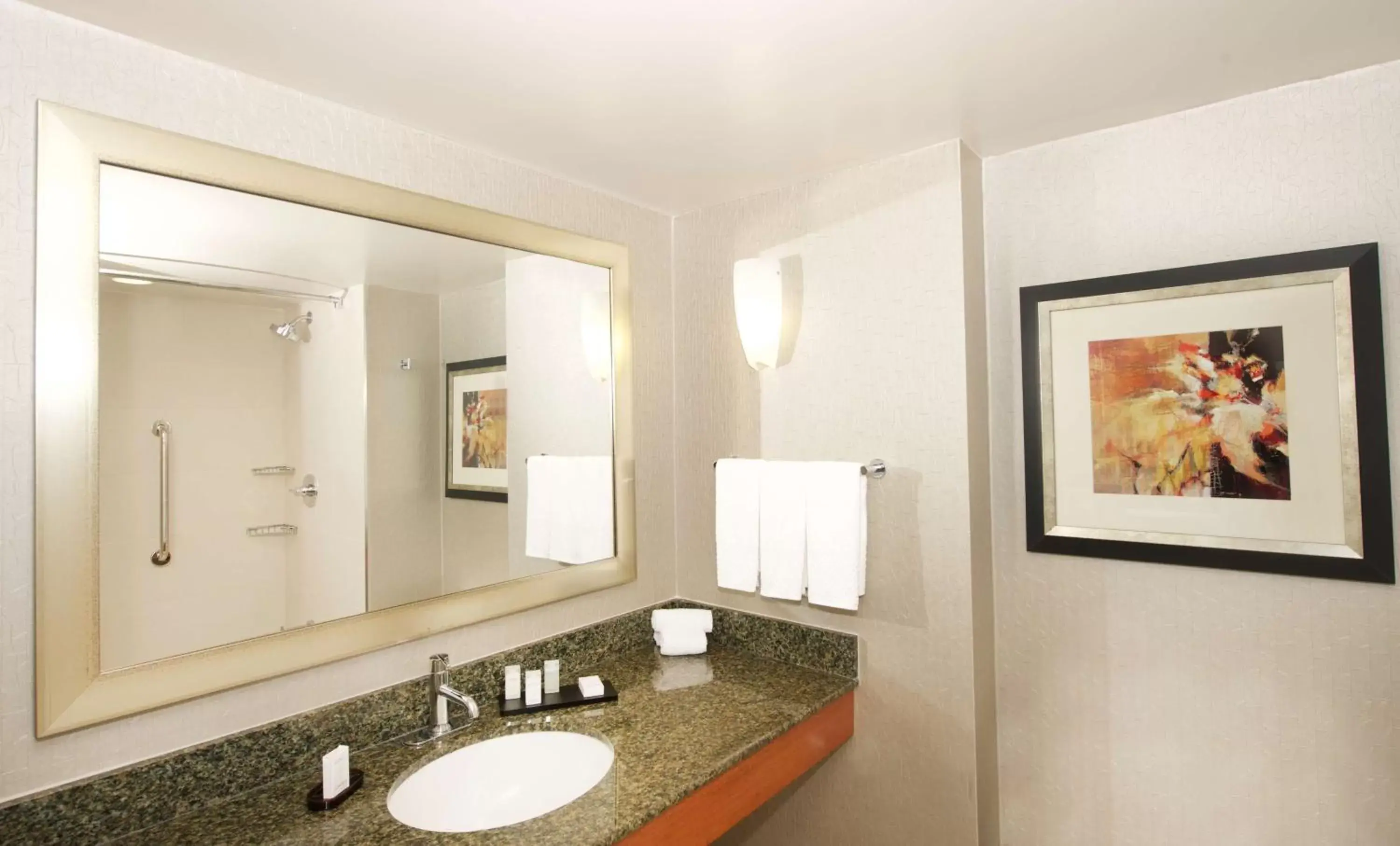 Bathroom in Embassy Suites by Hilton Detroit - Livonia/Novi