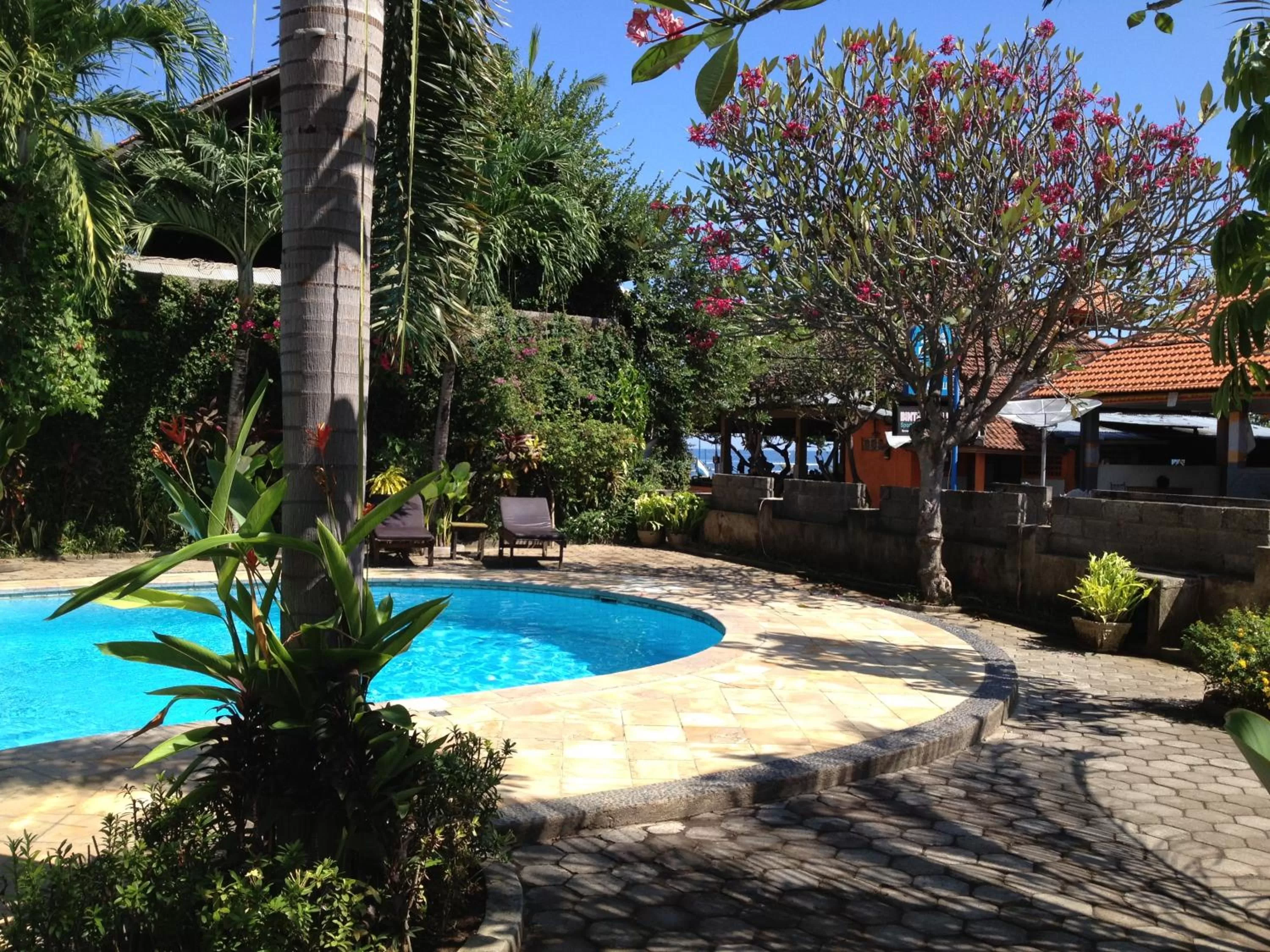 Swimming pool in Astina Hotel