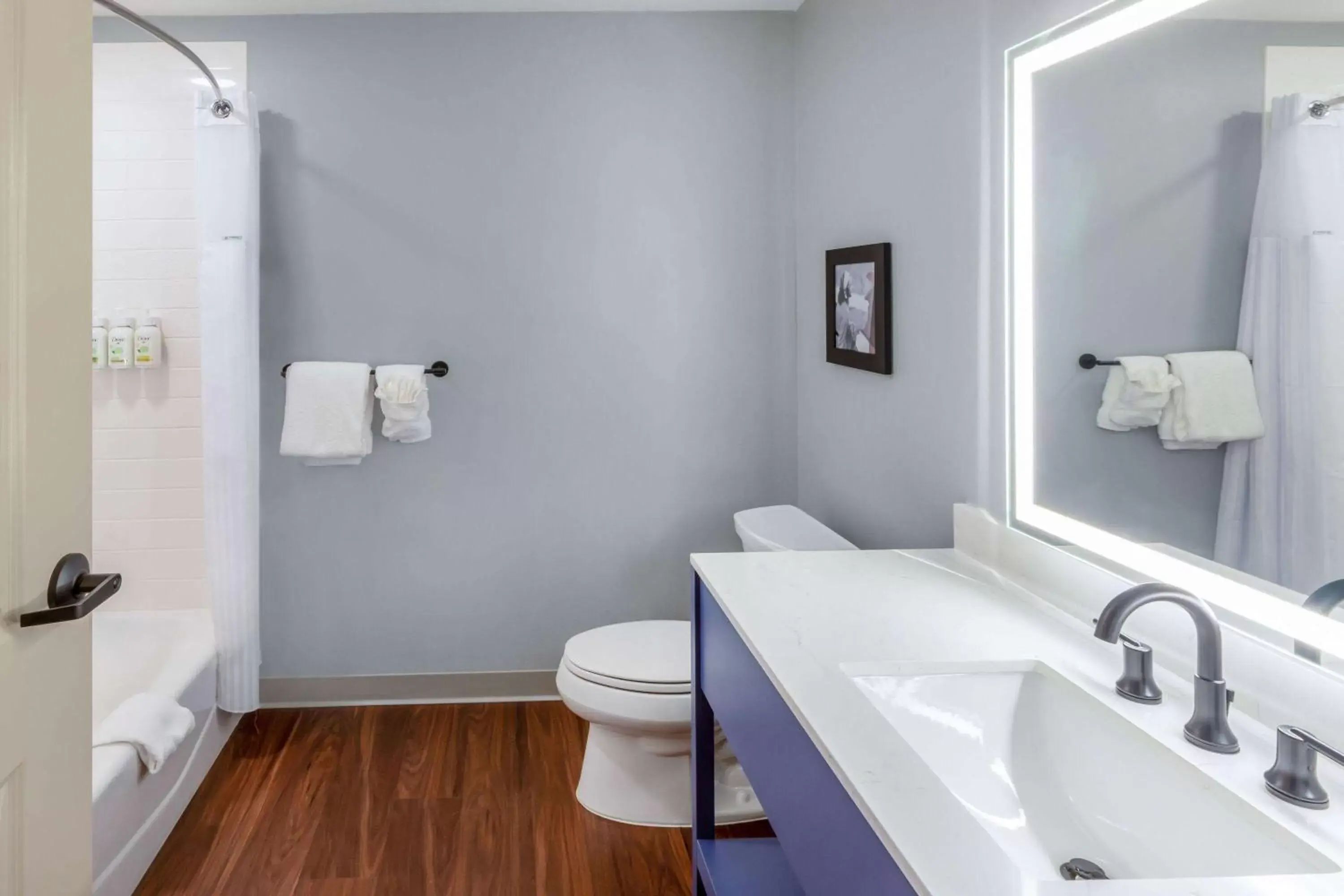 TV and multimedia, Bathroom in AmericInn by Wyndham Mountain Home