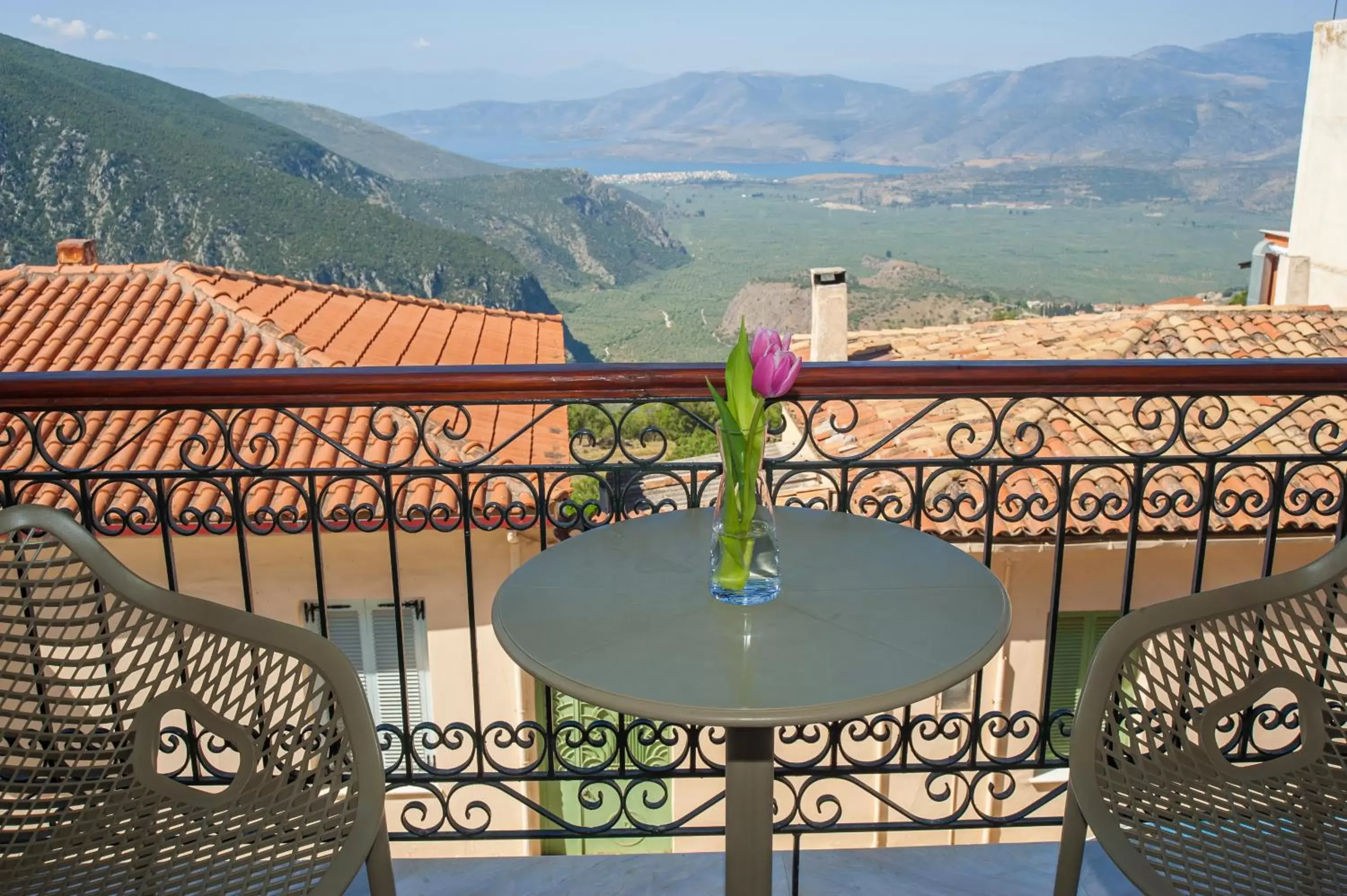 View (from property/room), Balcony/Terrace in Fedriades Delphi Hotel