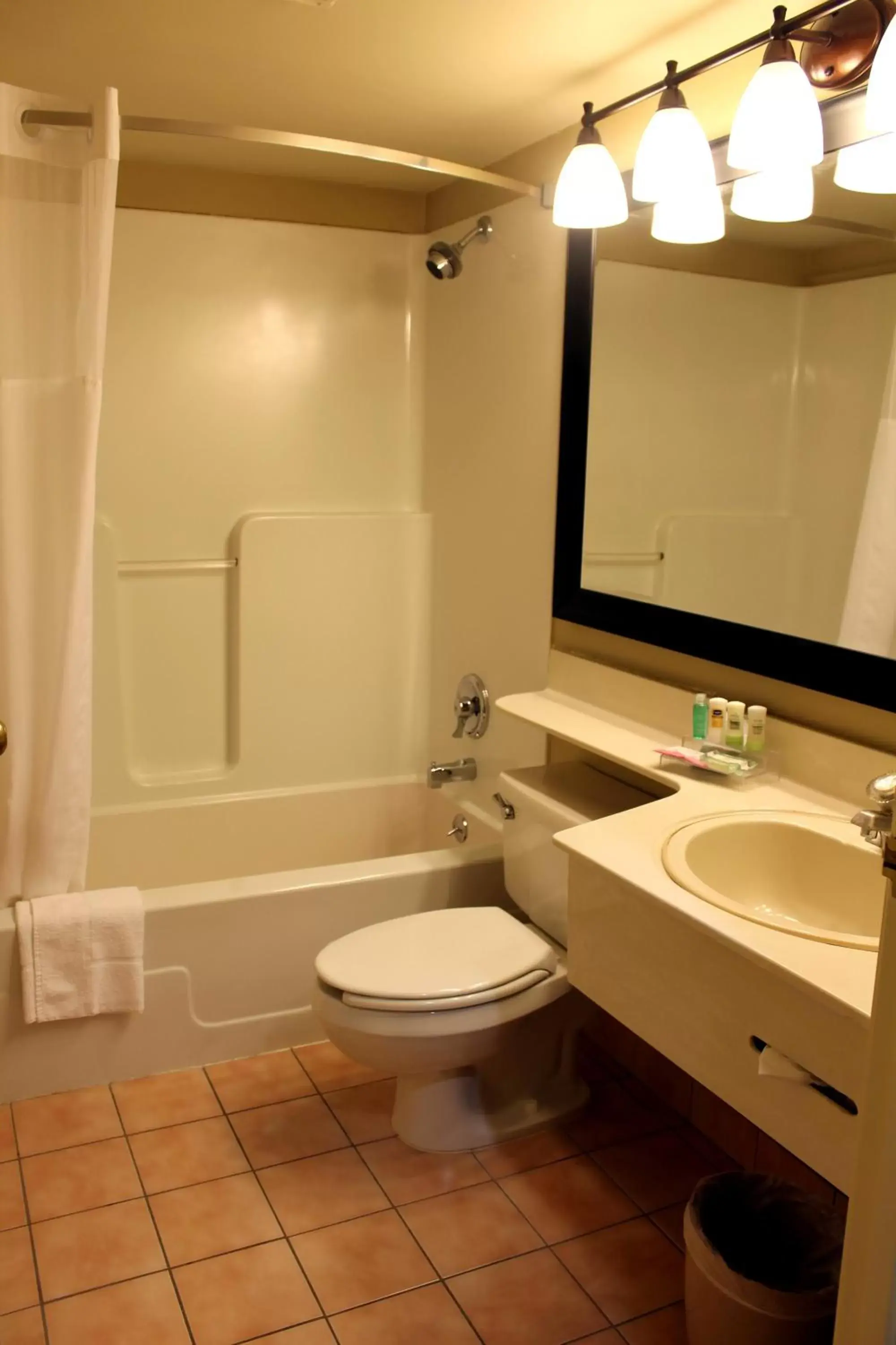 Bathroom in Country Inn & Suites by Radisson, Winnipeg, MB