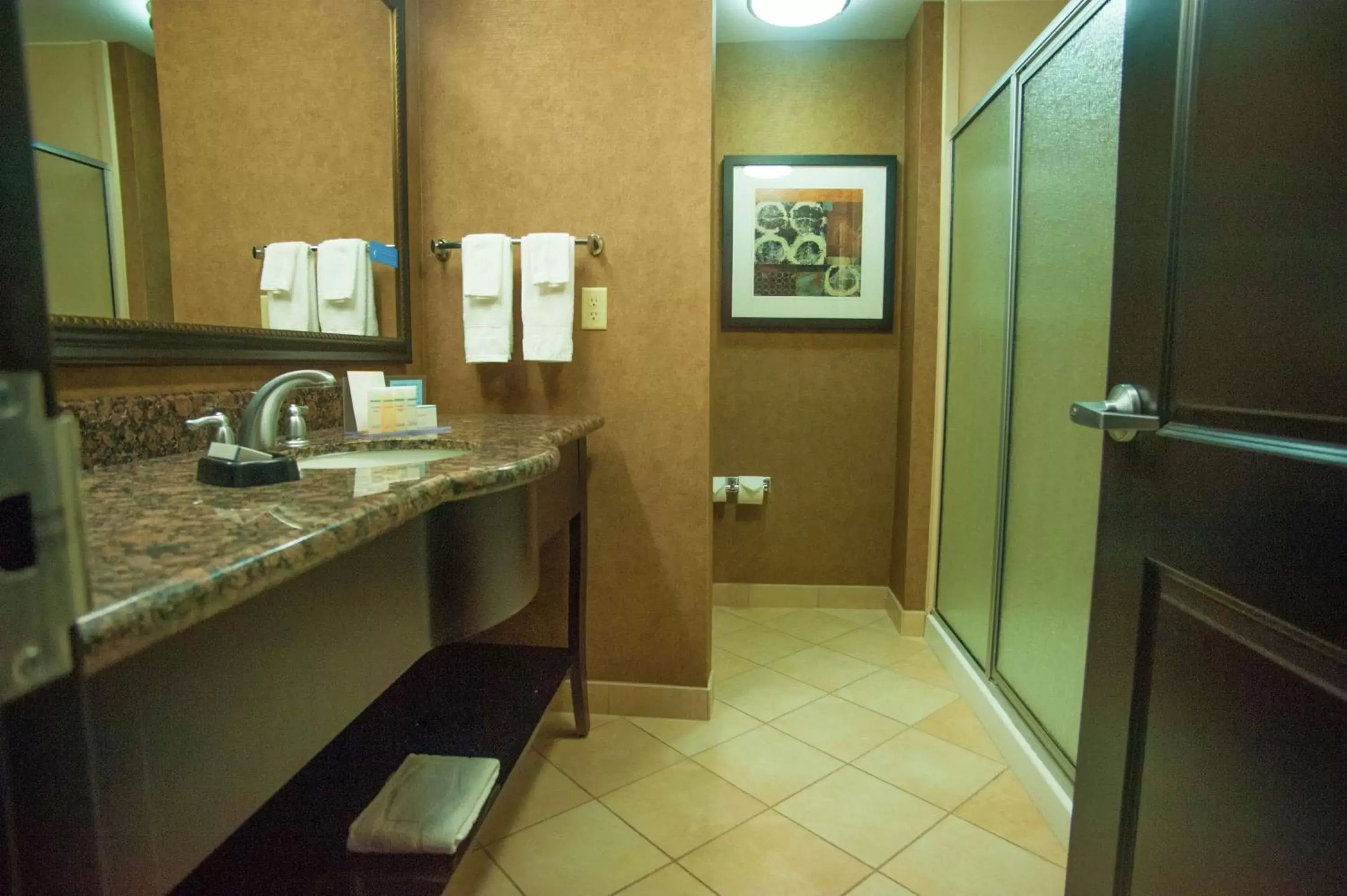 Bathroom in Hampton Inn & Suites Palestine