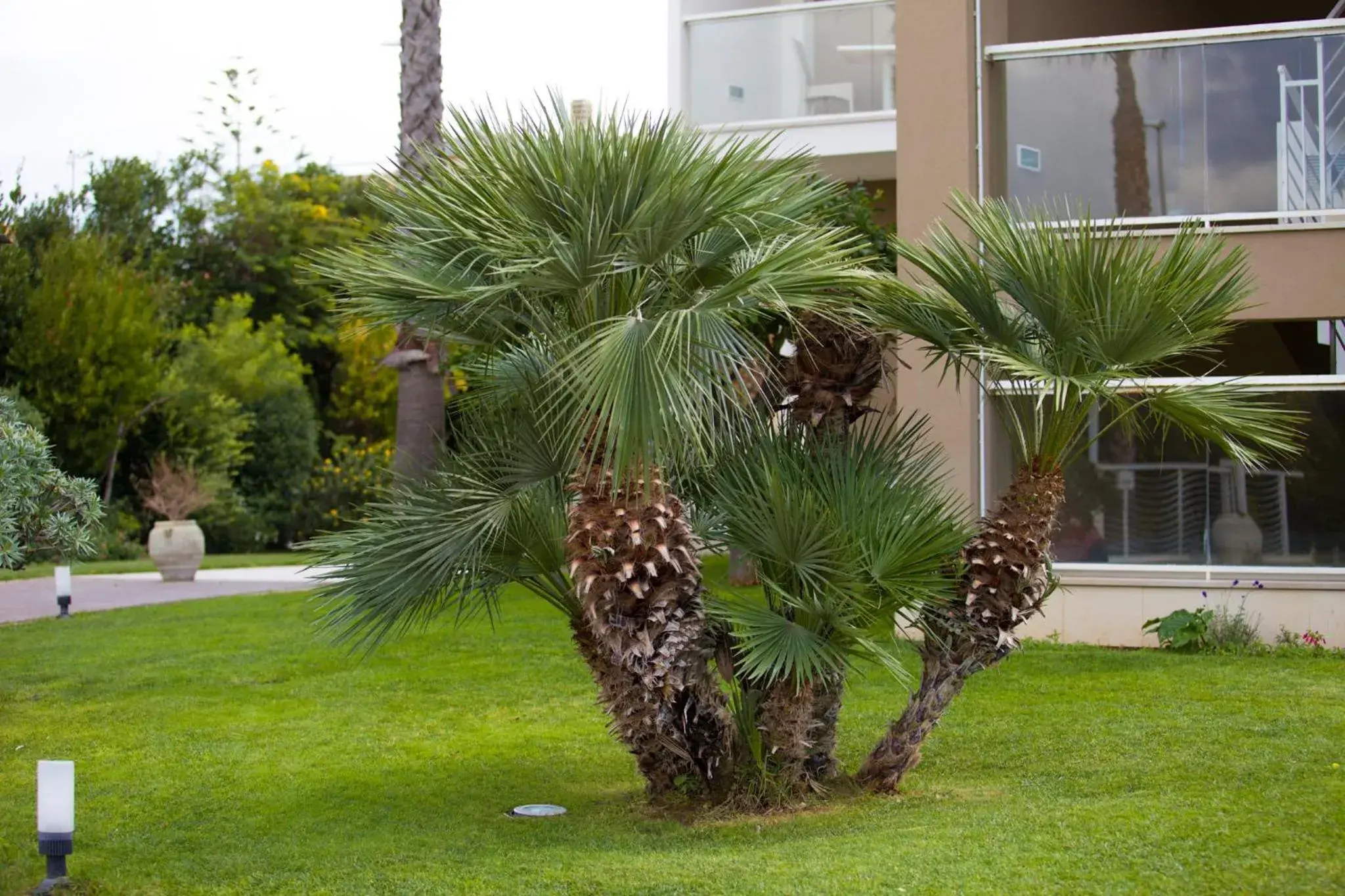 Decorative detail, Garden in Modica Palace Hotel