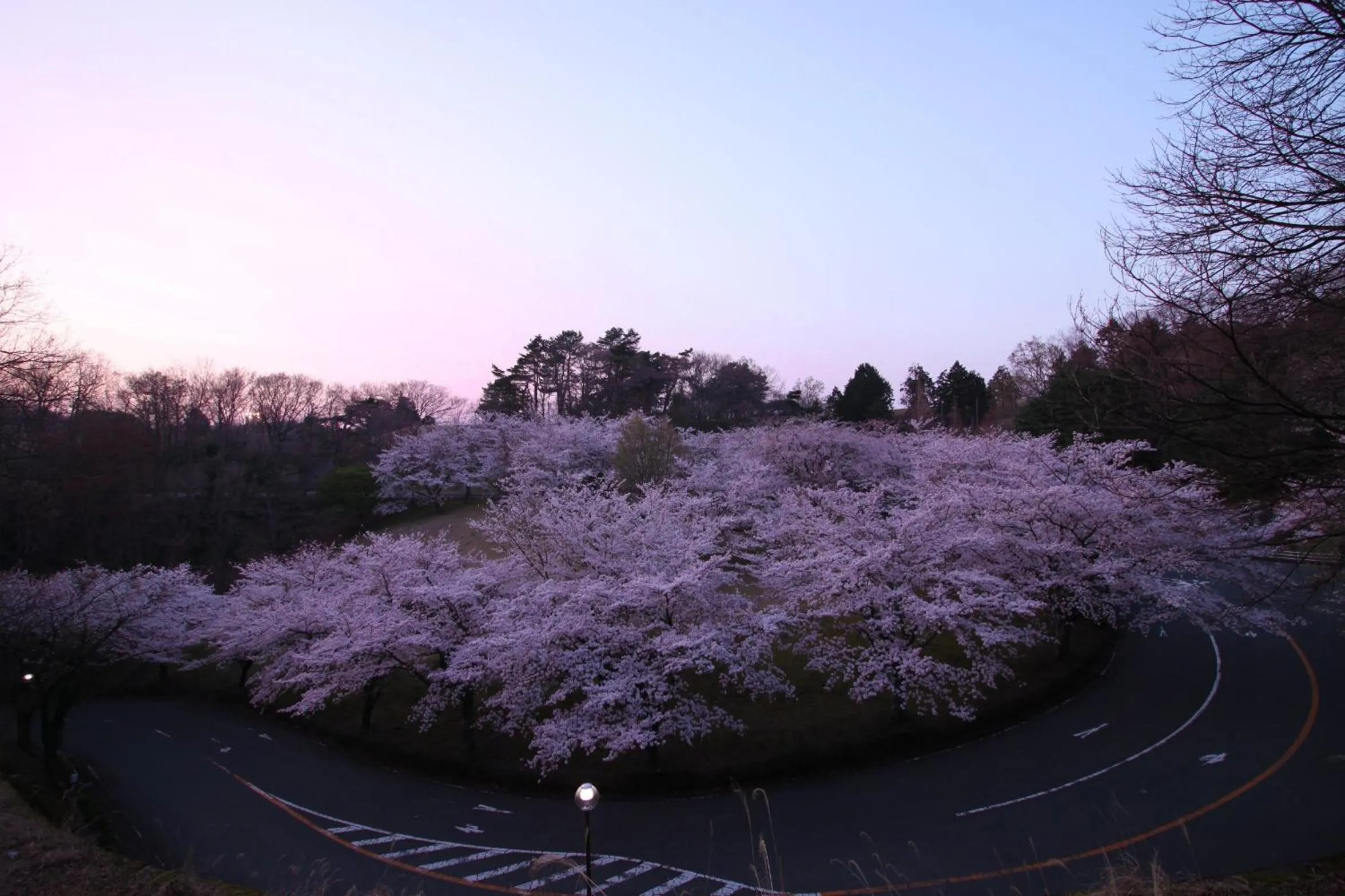Area and facilities in Hotel Laforet Shuzenji